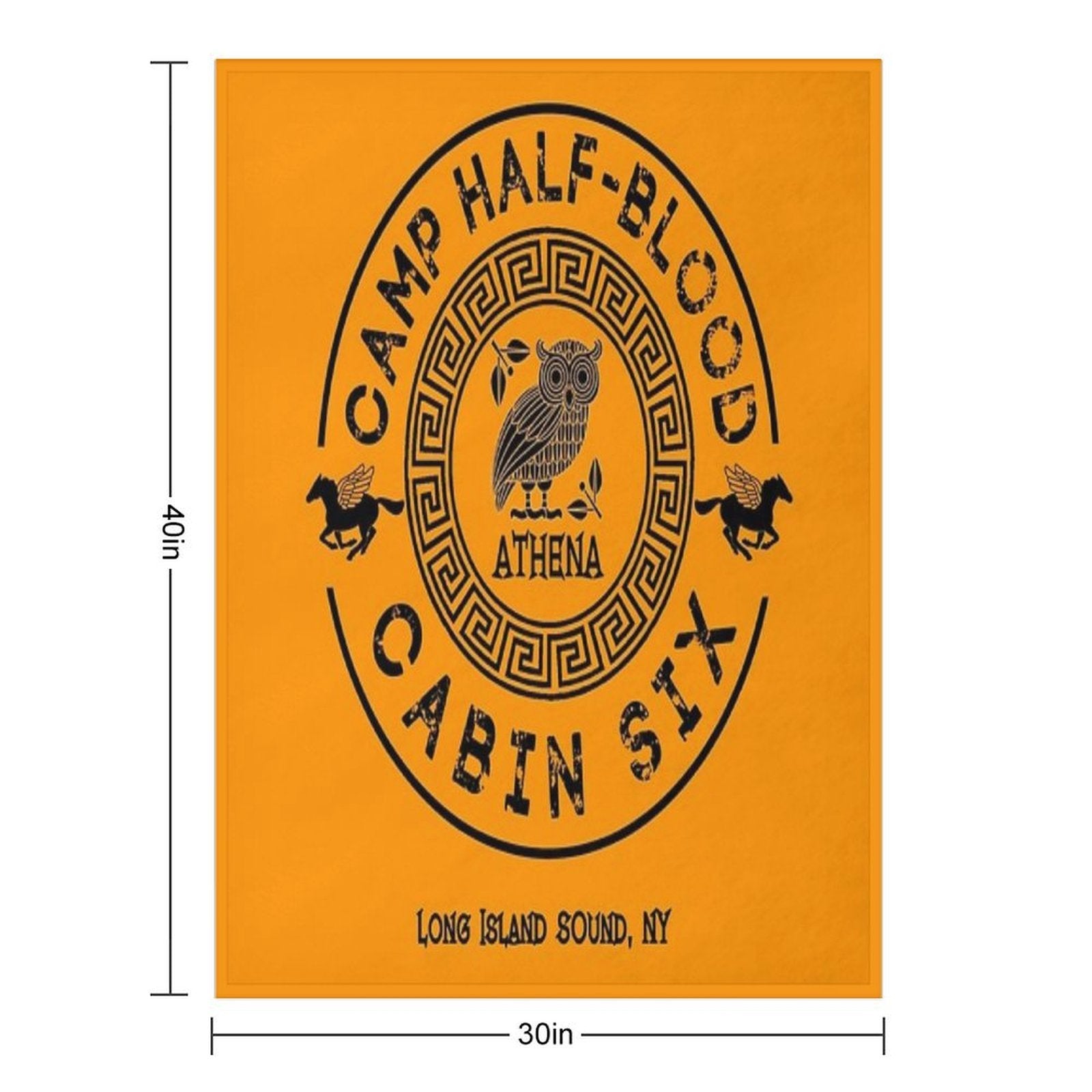 Cabin Six - Athena - Percy Jackson - Camp Half-Blood - Quick-dry Throw Blanket