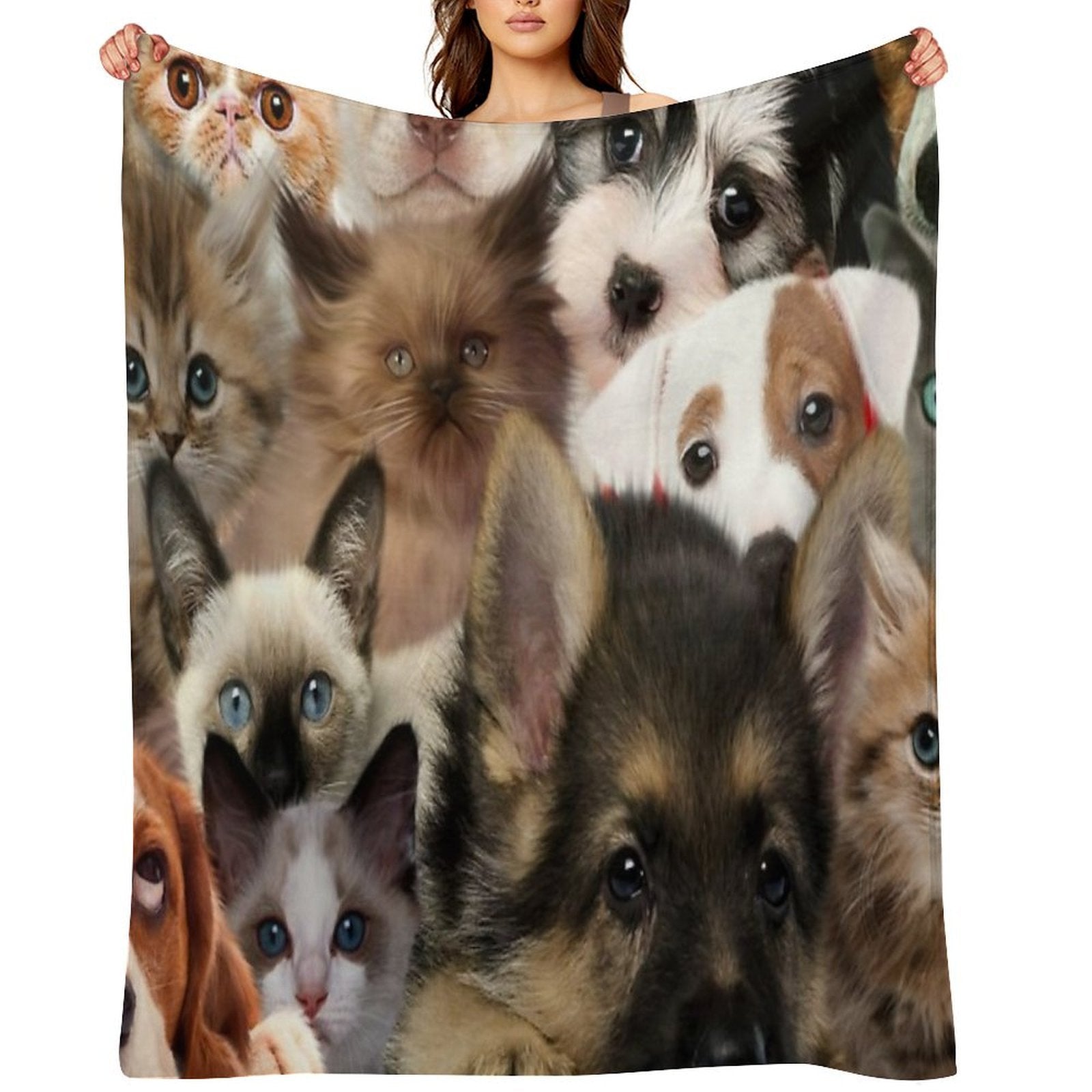 Groups of Cats And Dogs Comfort Throw Blanket