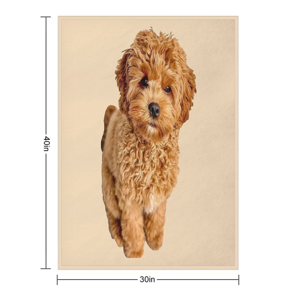 Cavapoo Multi-functional Throw Blanket