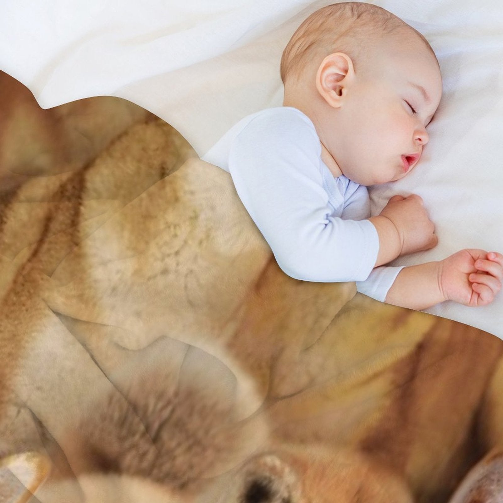 Shiba Inu Versatility Throw Blanket