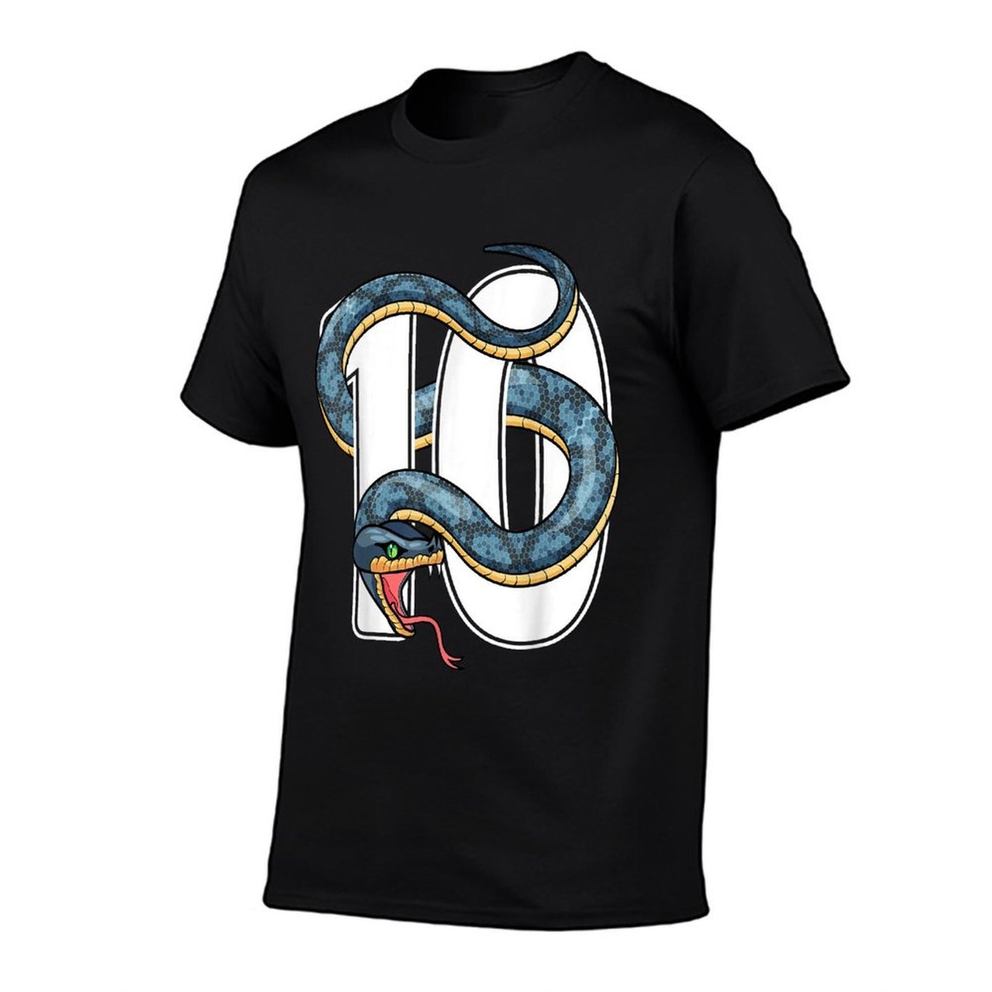 10th Birthday Snake Lover Ten 10 Year Old Birthday Boy Girl  Affordable Price T-Shirt