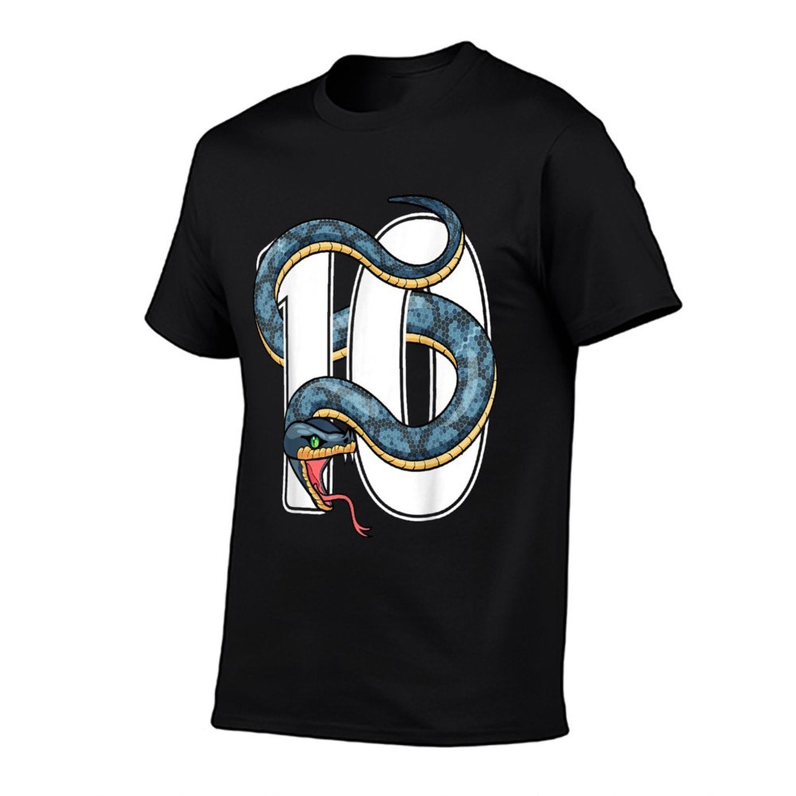 10th Birthday Snake Lover Ten 10 Year Old Birthday Boy Girl  Affordable Price T-Shirt