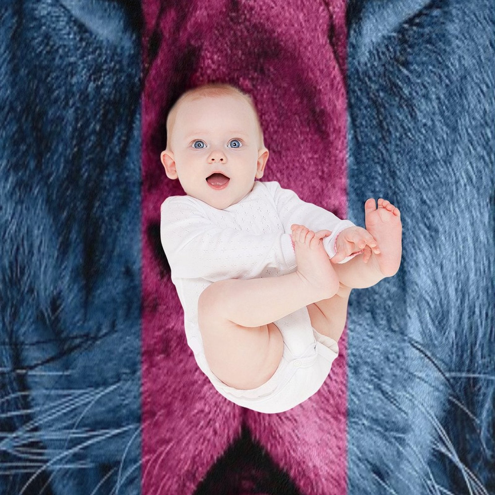 Aston Villa Lion Shrink-resistant Throw Blanket
