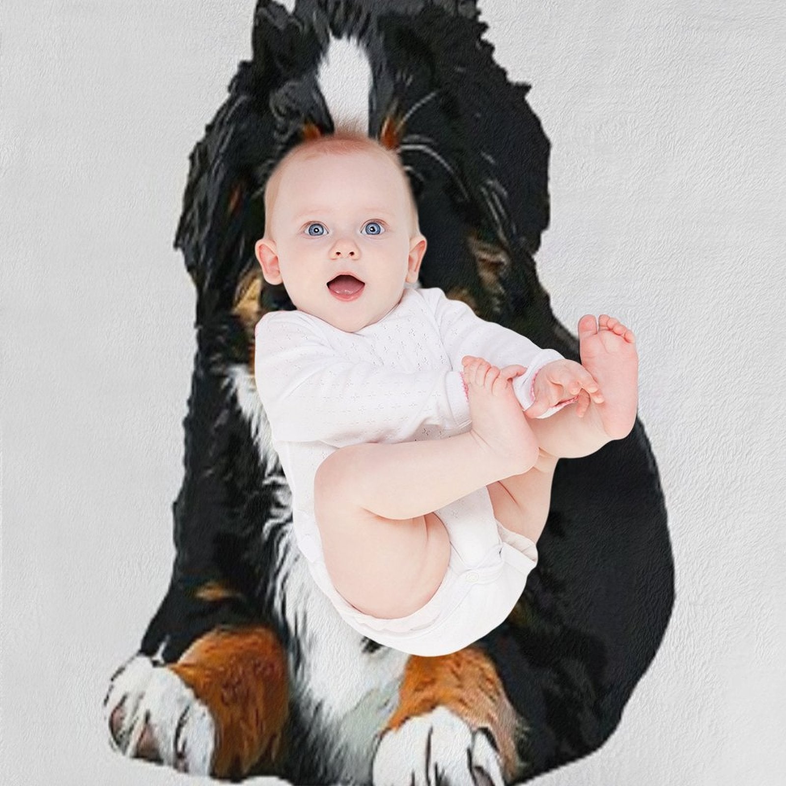Bernese Mountain Dog Pup! Velvety-soft Throw Blanket