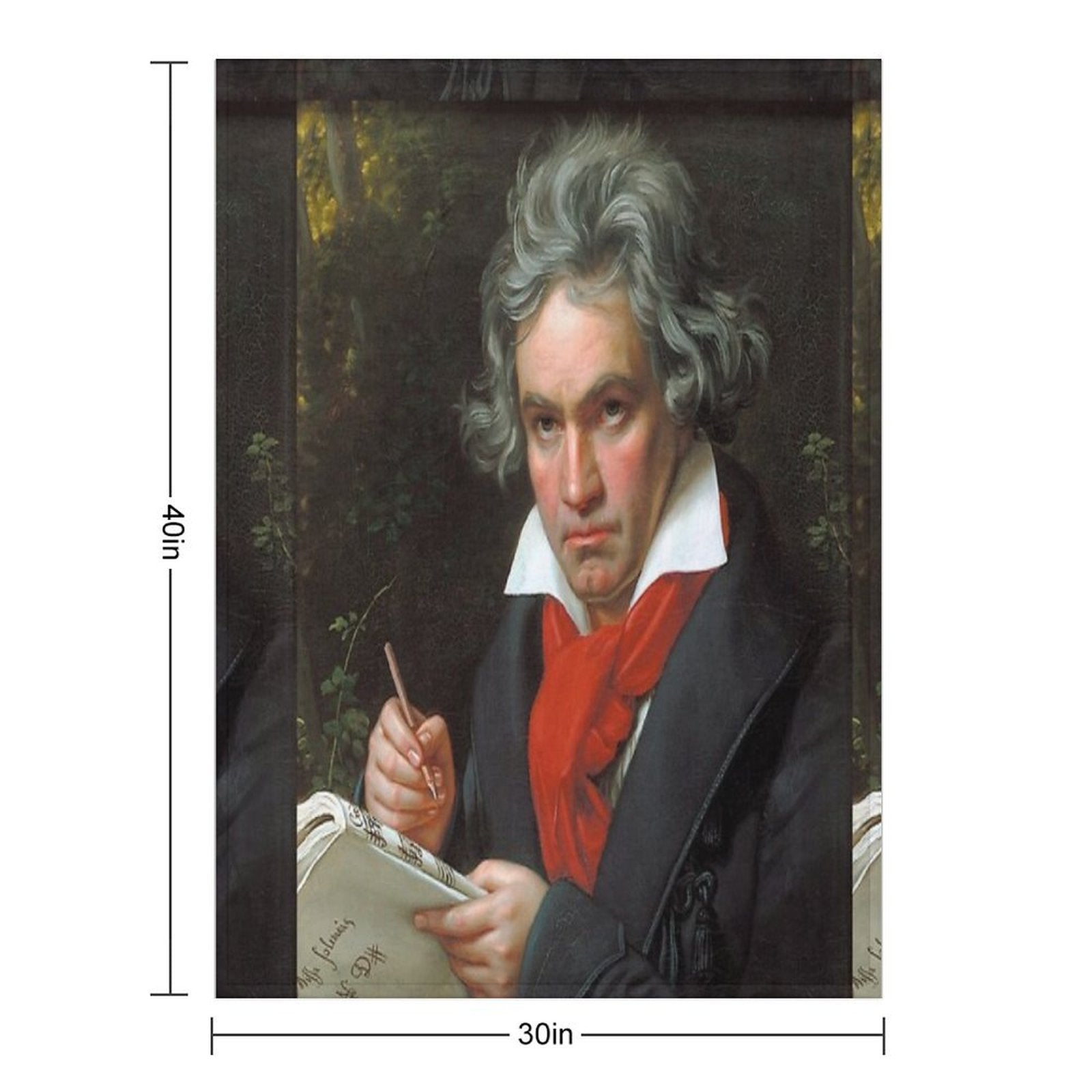 Ludwig Van Beethoven Lightweight Throw Blanket