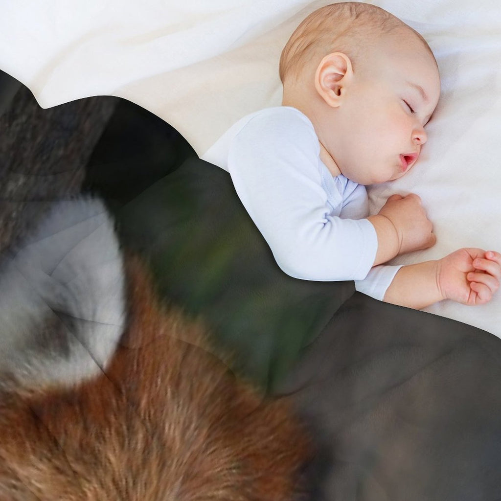 Red Panda Comfort Throw Blanket