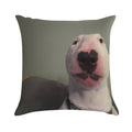 @PupperNelson Walter Original Soft High-Density Material Throw Pillow