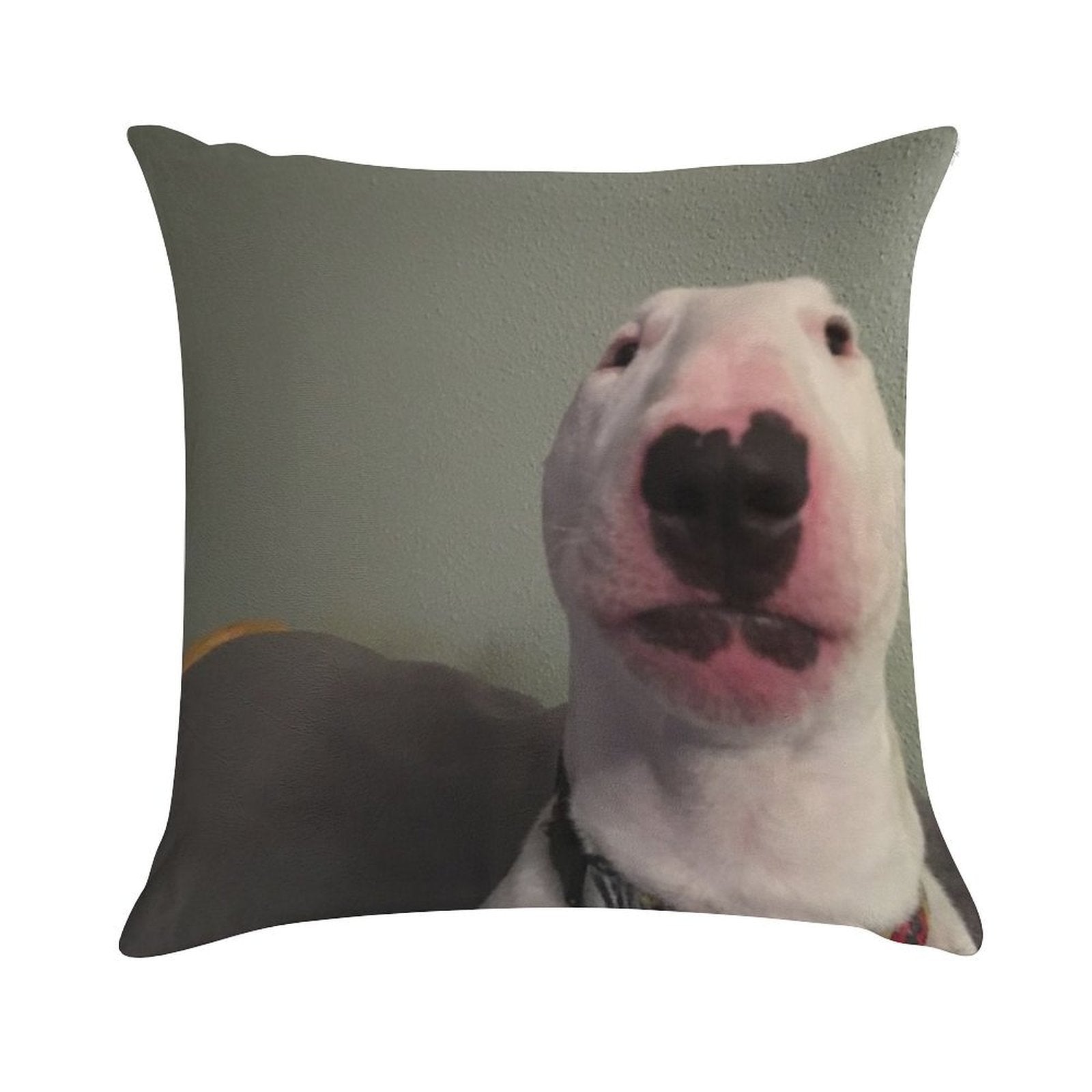 @PupperNelson Walter Original Soft High-Density Material Throw Pillow