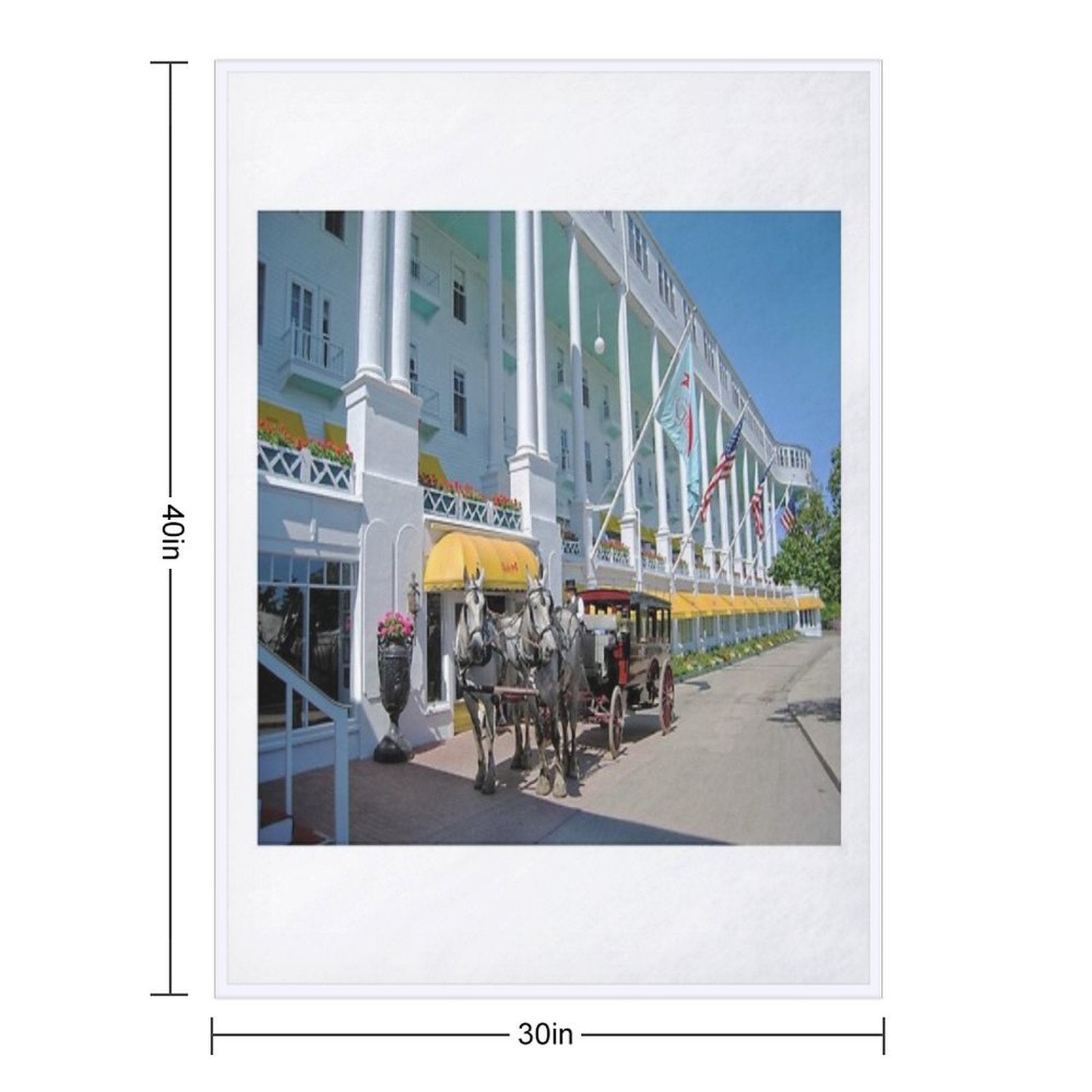 Carriage at The Grand Hotel, Mackinac Island, Michigan Compact Throw Blanket