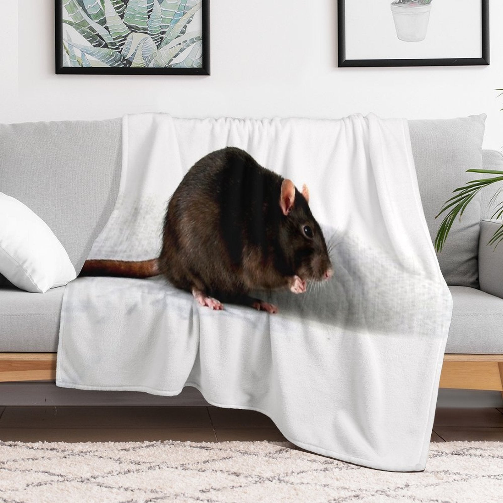 Rat Anti-pilling Throw Blanket