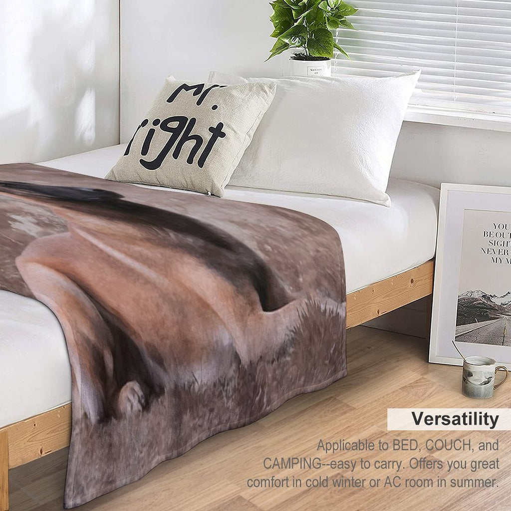 Malinois  Belgian Shepherd - Mechelaar Lightweight Throw Blanket