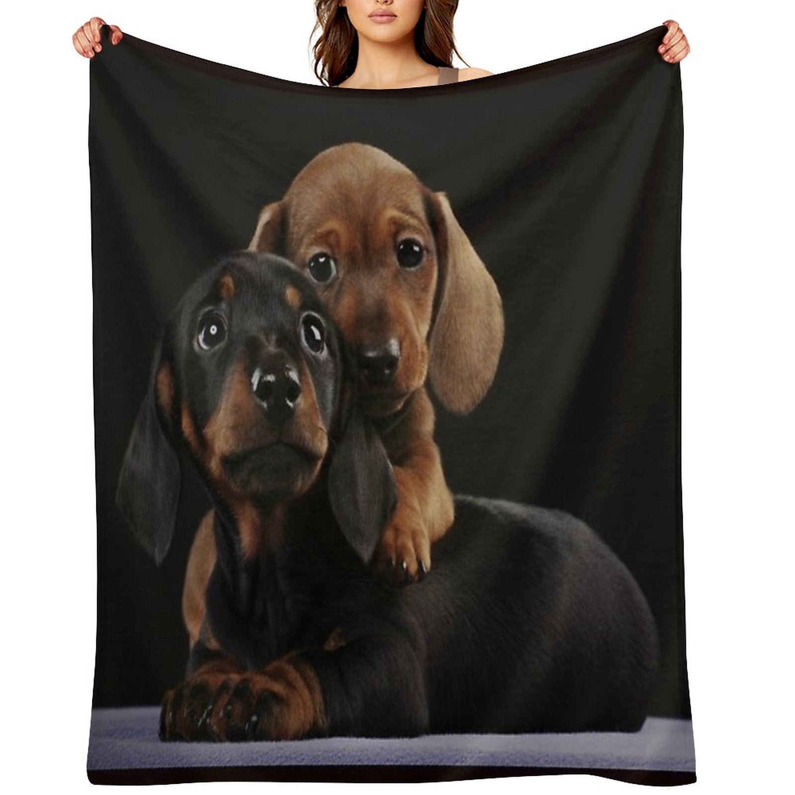 Dachshund Dog Portrait Photo Pupies Velvety-soft Throw Blanket