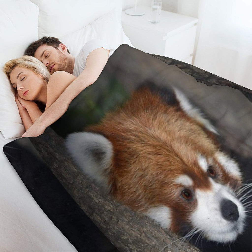 Red Panda Comfort Throw Blanket