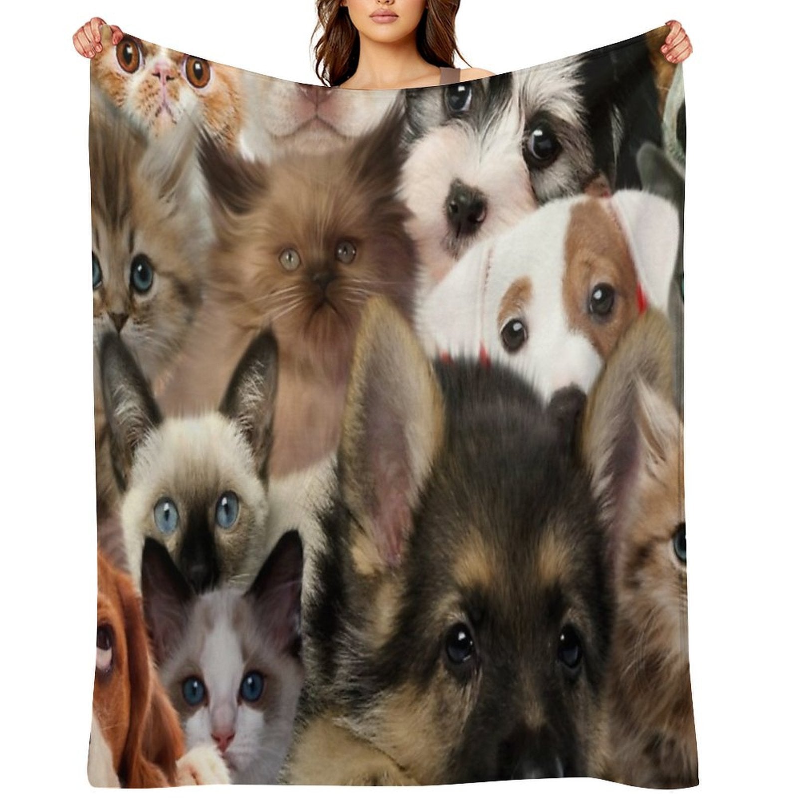 Groups of Cats And Dogs Comfort Throw Blanket