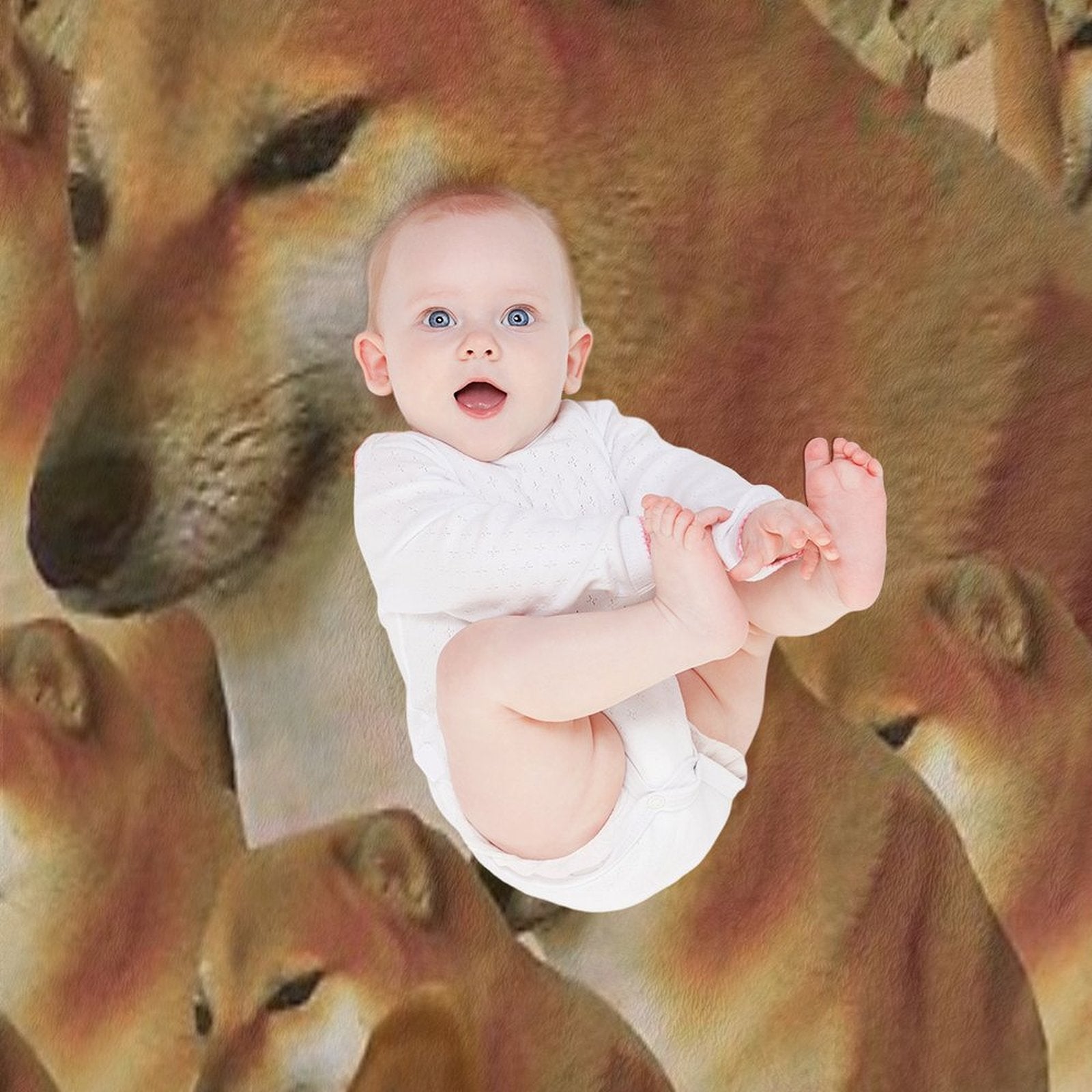 Cheems Galore Plush Throw Blanket