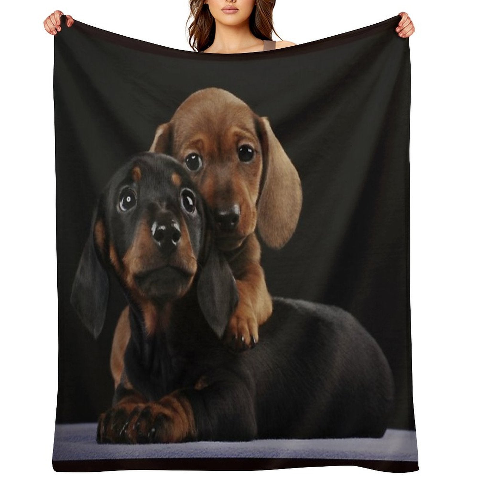 Dachshund Dog Portrait Photo Pupies Velvety-soft Throw Blanket