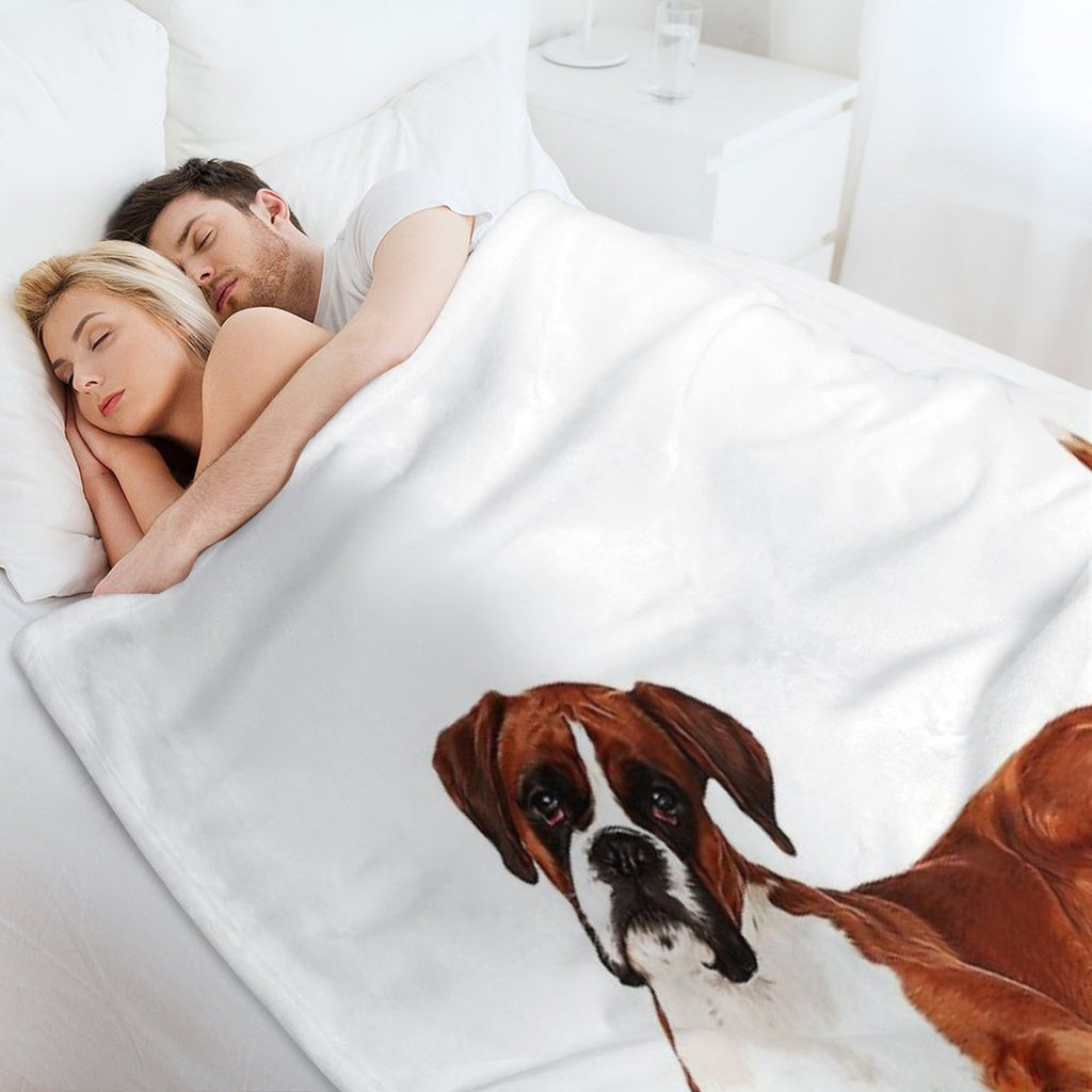 Adorable Boxer Dog Comfort Throw Blanket