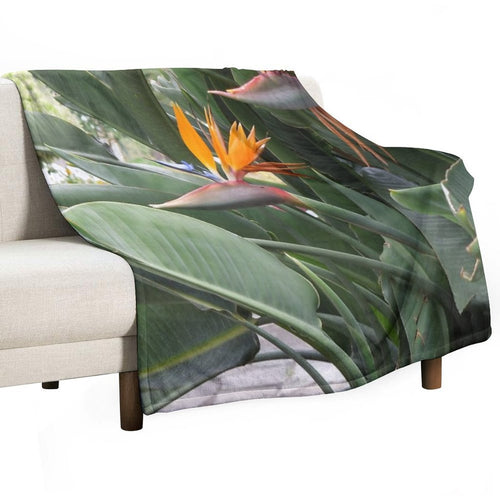 A Beautiful Bird of Paradise Flower from Madeira Compact Throw Blanket