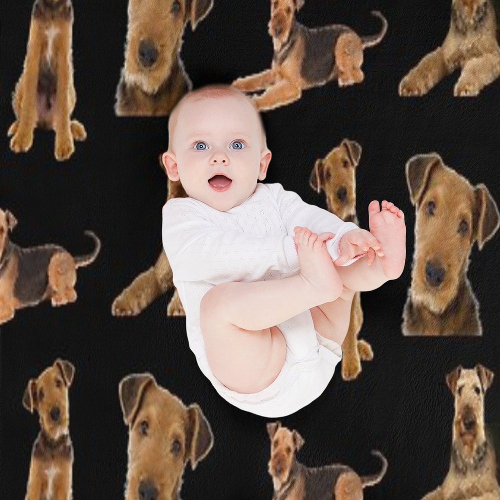 Airedale Terrier All-season Throw Blanket