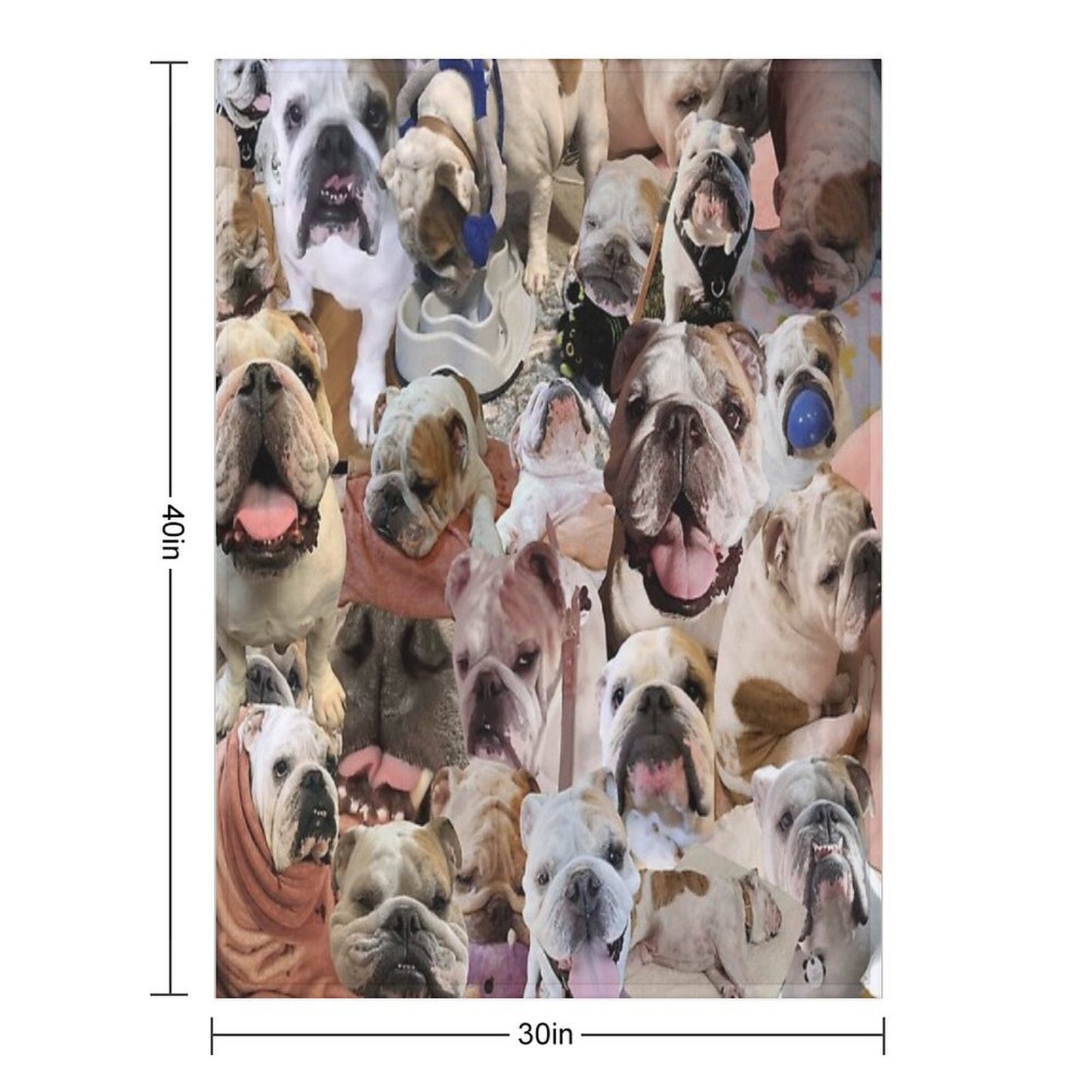 Mochi The English Bulldog Collage Comfort Throw Blanket
