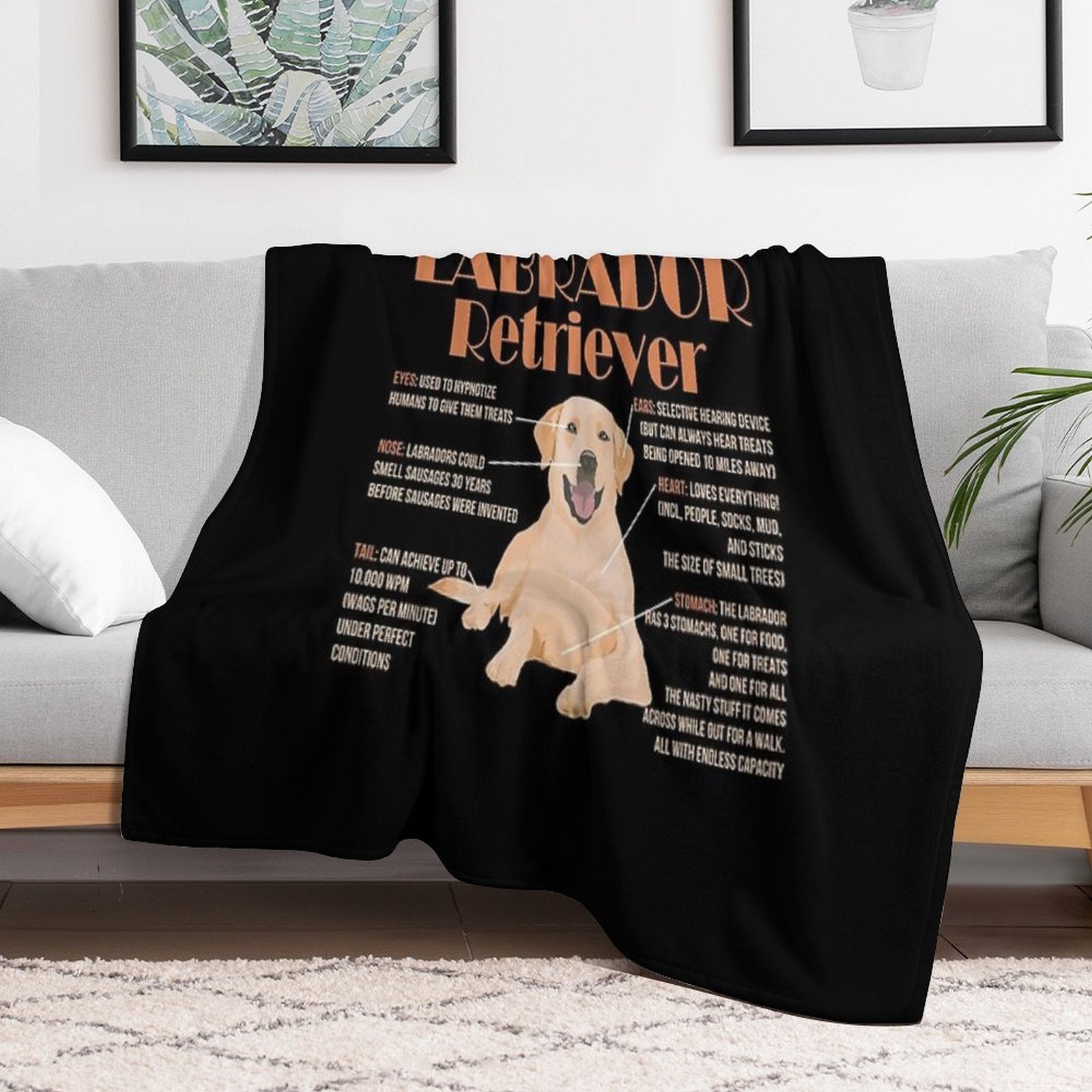 Anatomy of Labrador Retriever Premium Throw Blanket