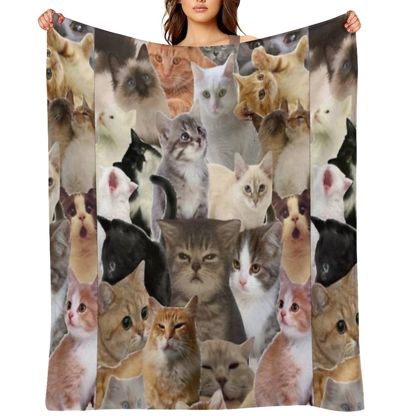 Cat Memes All-season Throw Blanket