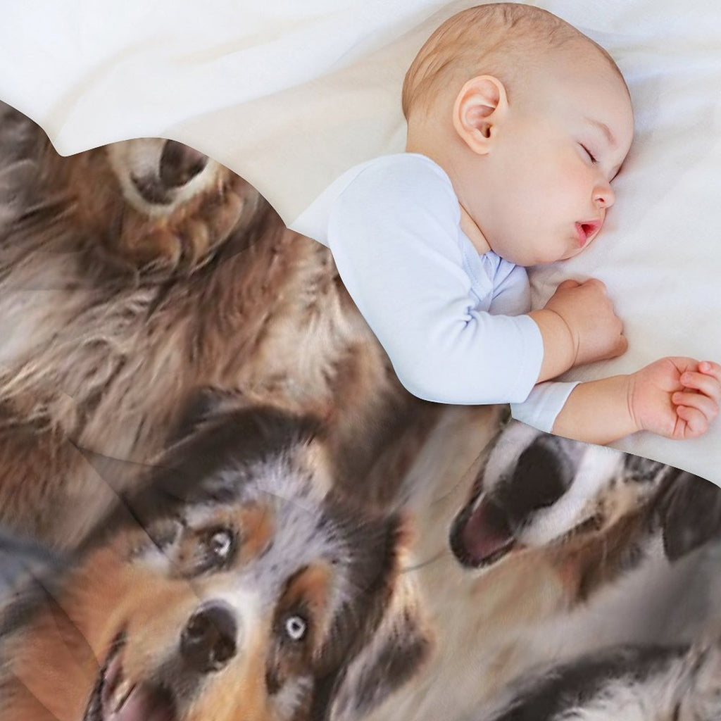 Australian Shepherds Plush Throw Blanket