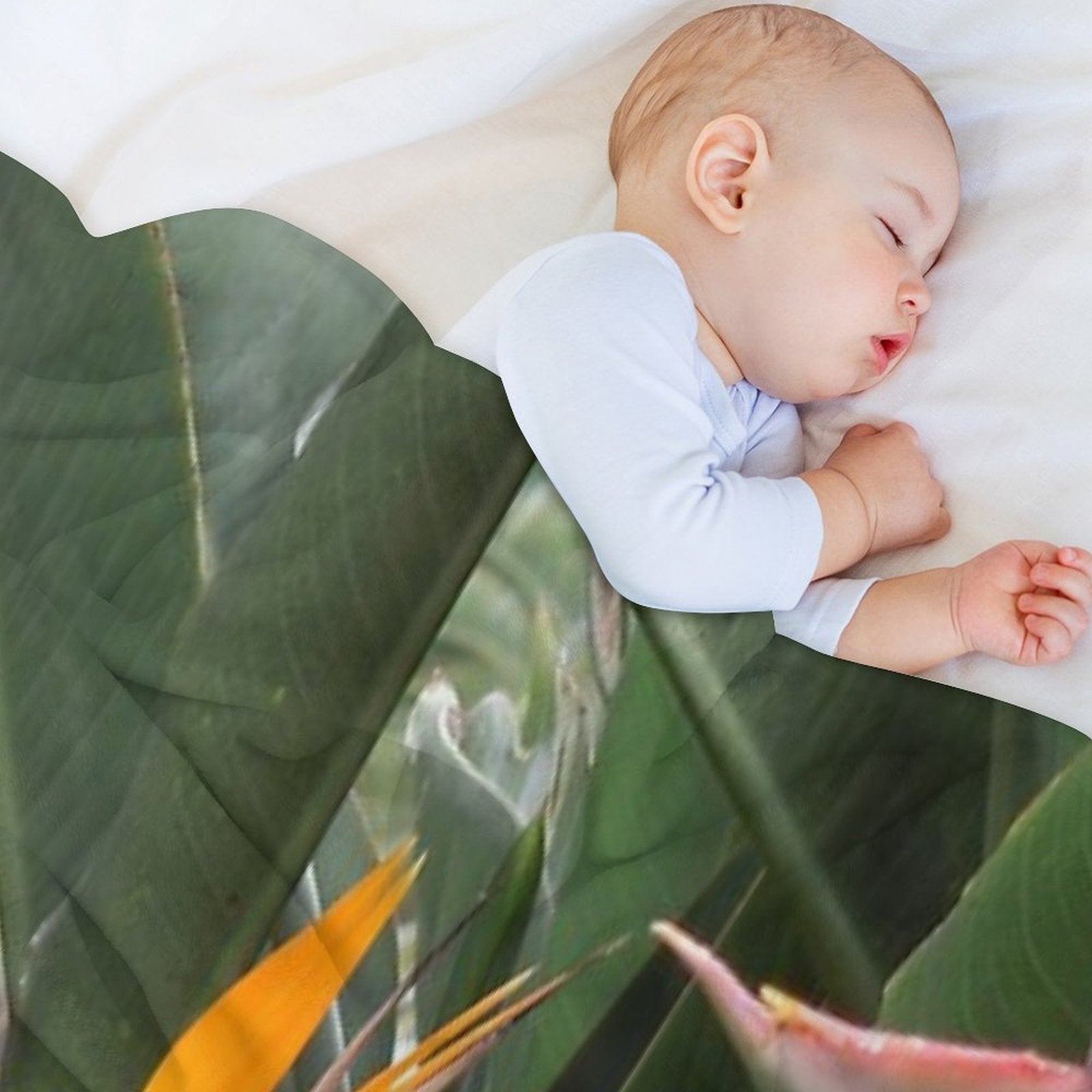 A Beautiful Bird of Paradise Flower from Madeira Compact Throw Blanket