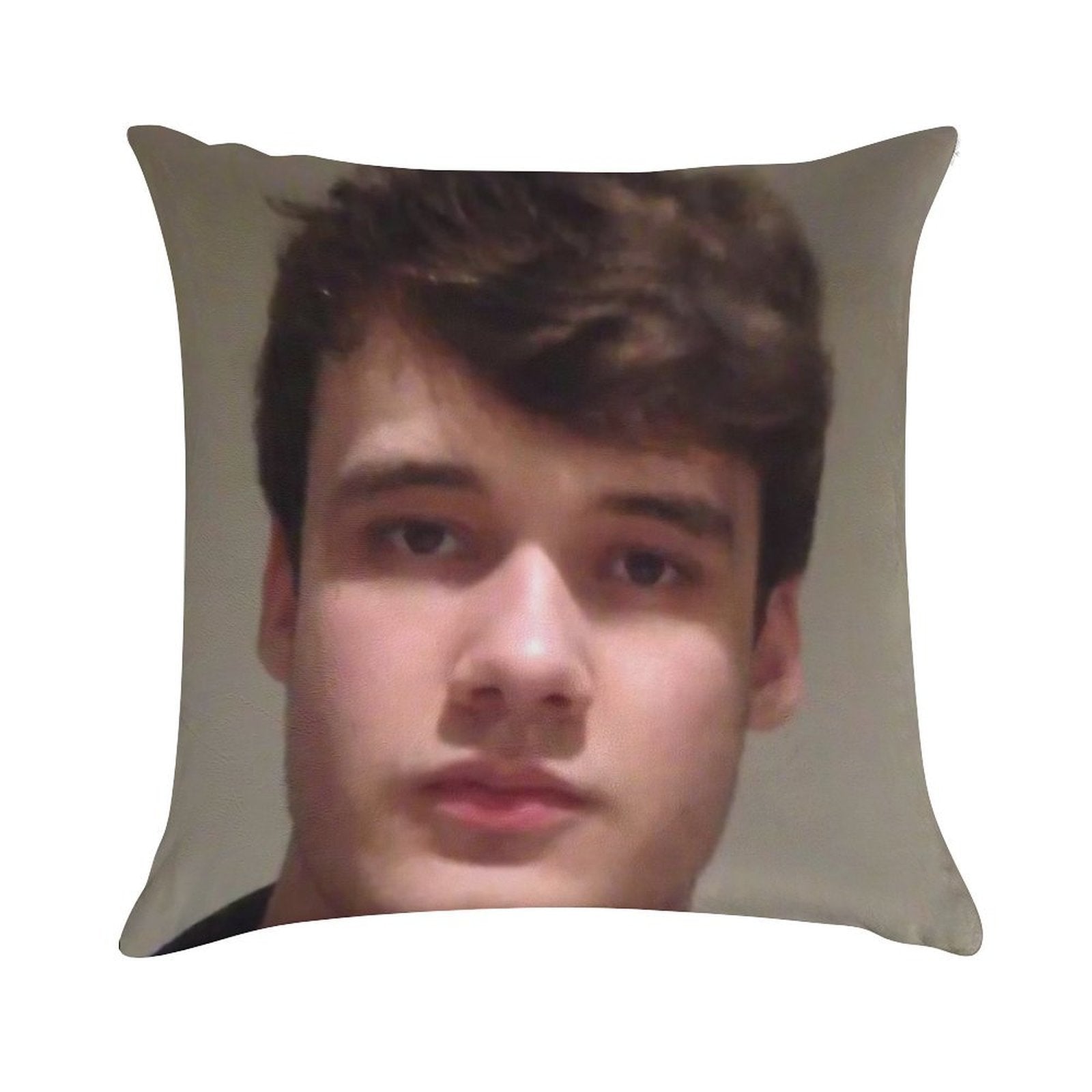 Wilbur Soot Soft Luxury Feel Throw Pillow