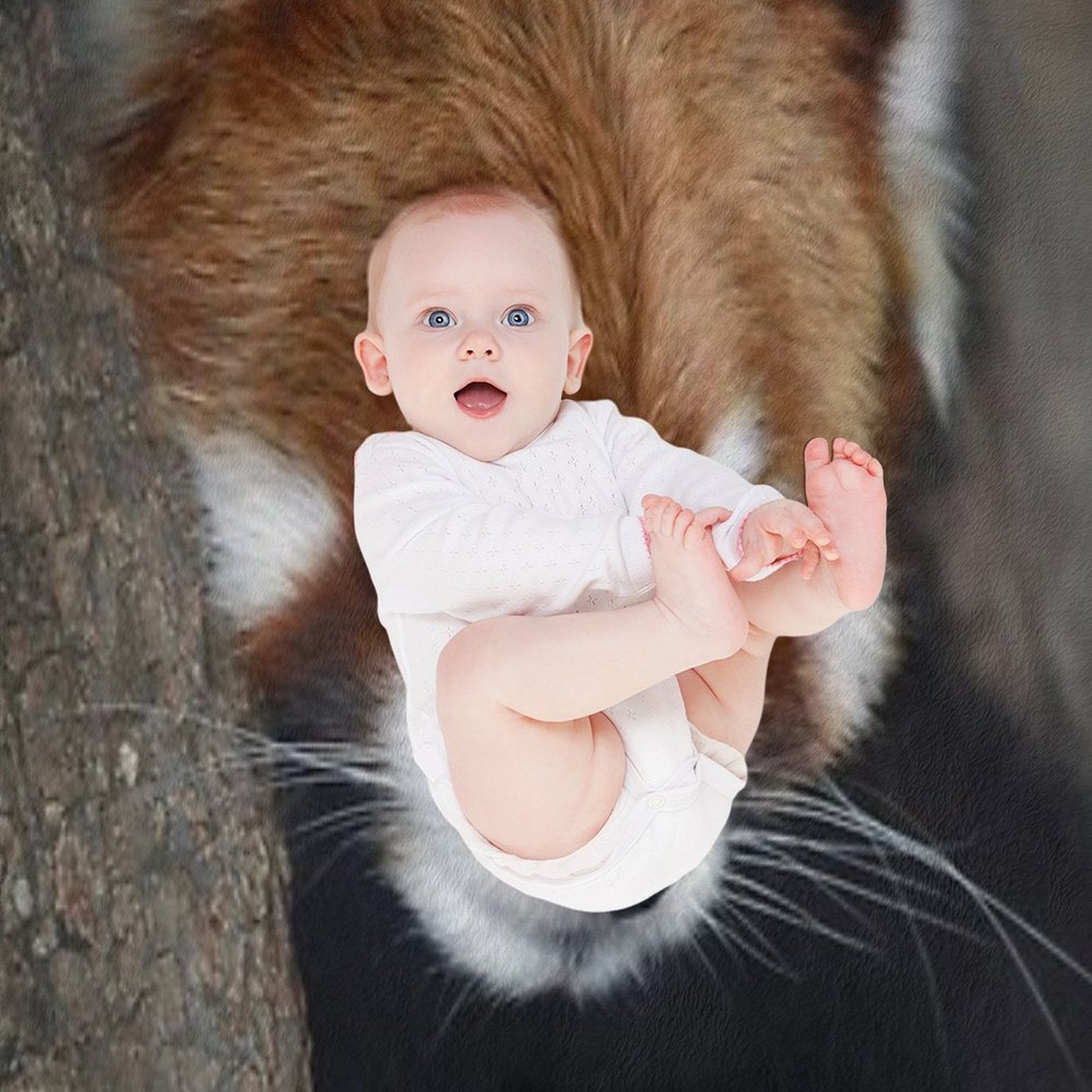Red Panda Comfort Throw Blanket