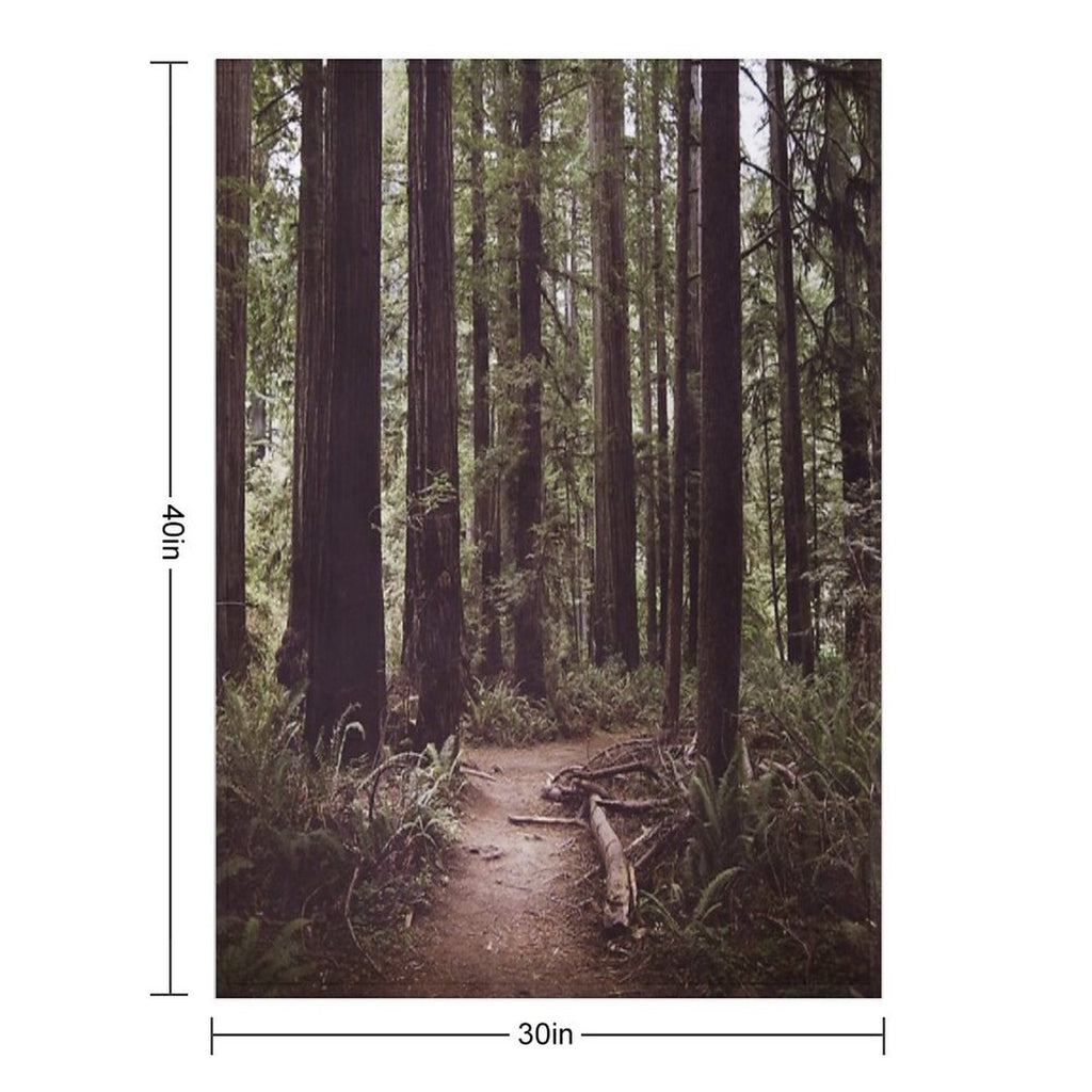 Redwood Forest Easy Care Throw Blanket