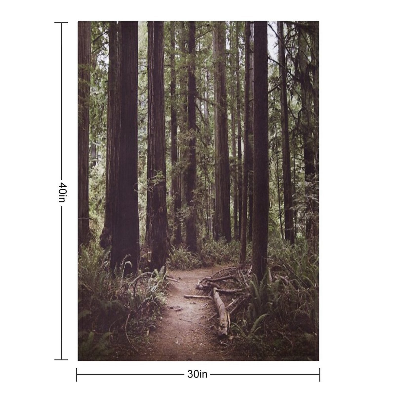 Redwood Forest Easy Care Throw Blanket
