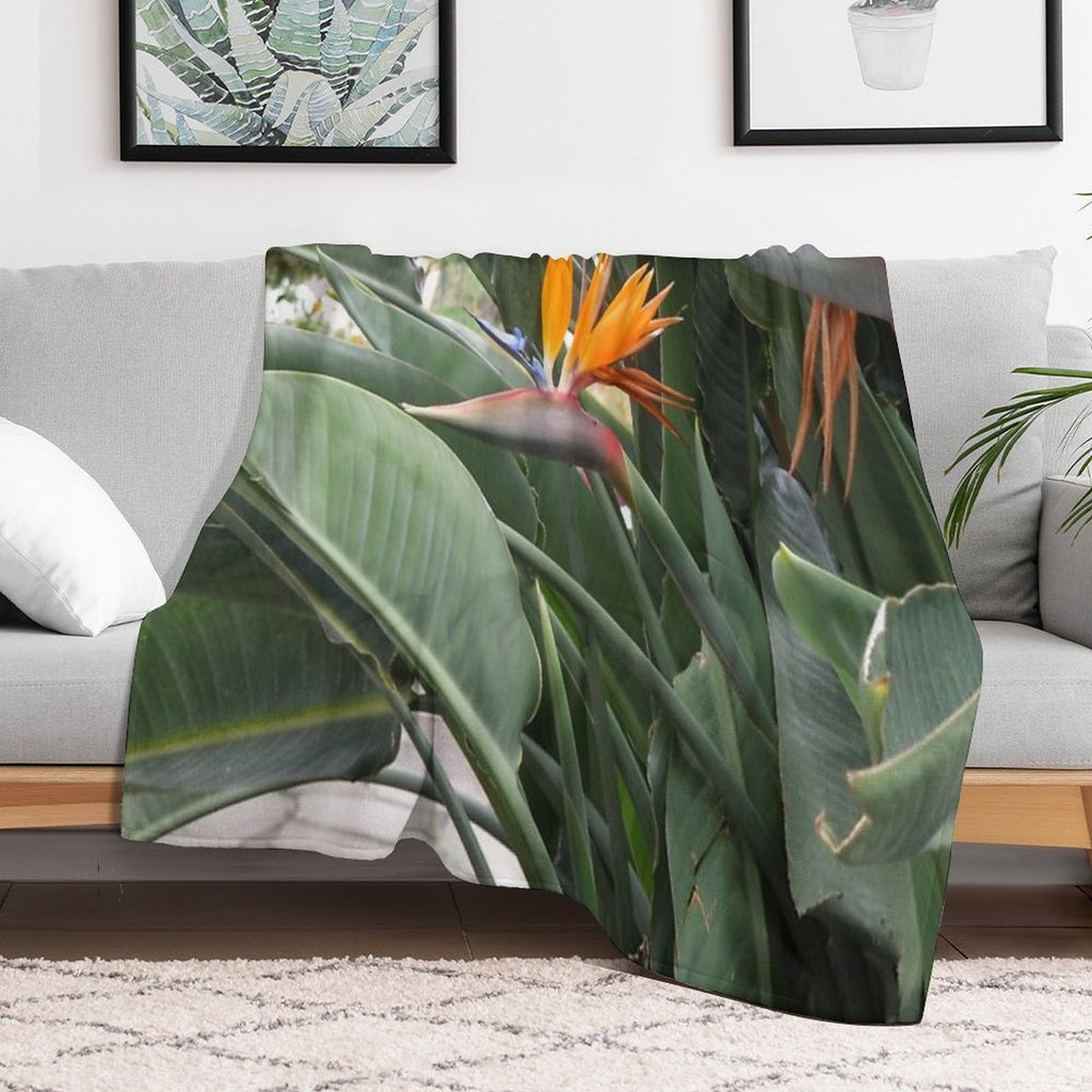 A Beautiful Bird of Paradise Flower from Madeira Compact Throw Blanket