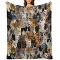 Animal Lover Pattern Eco-conscious Throw Blanket