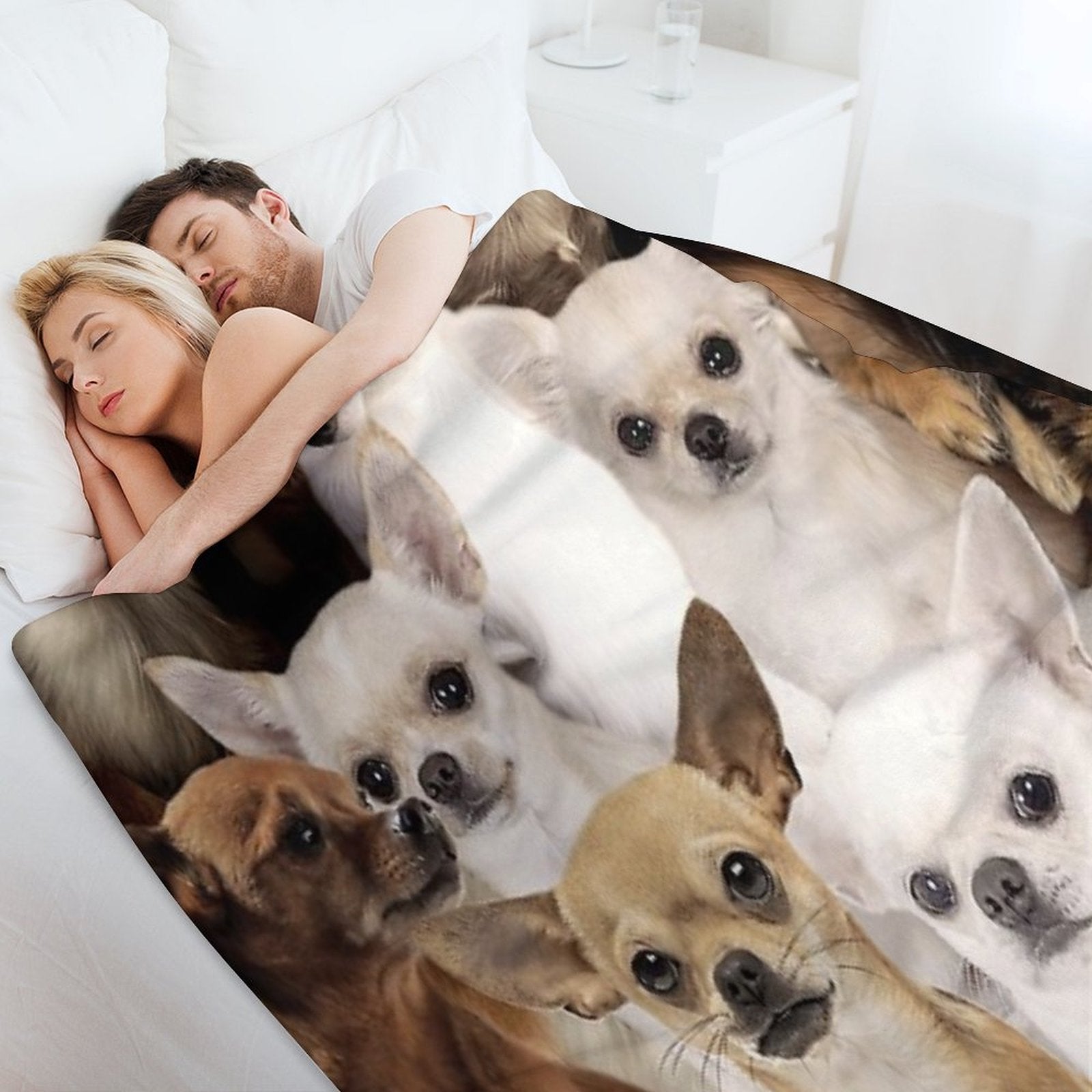 Chihuahuas Anti-pilling Throw Blanket