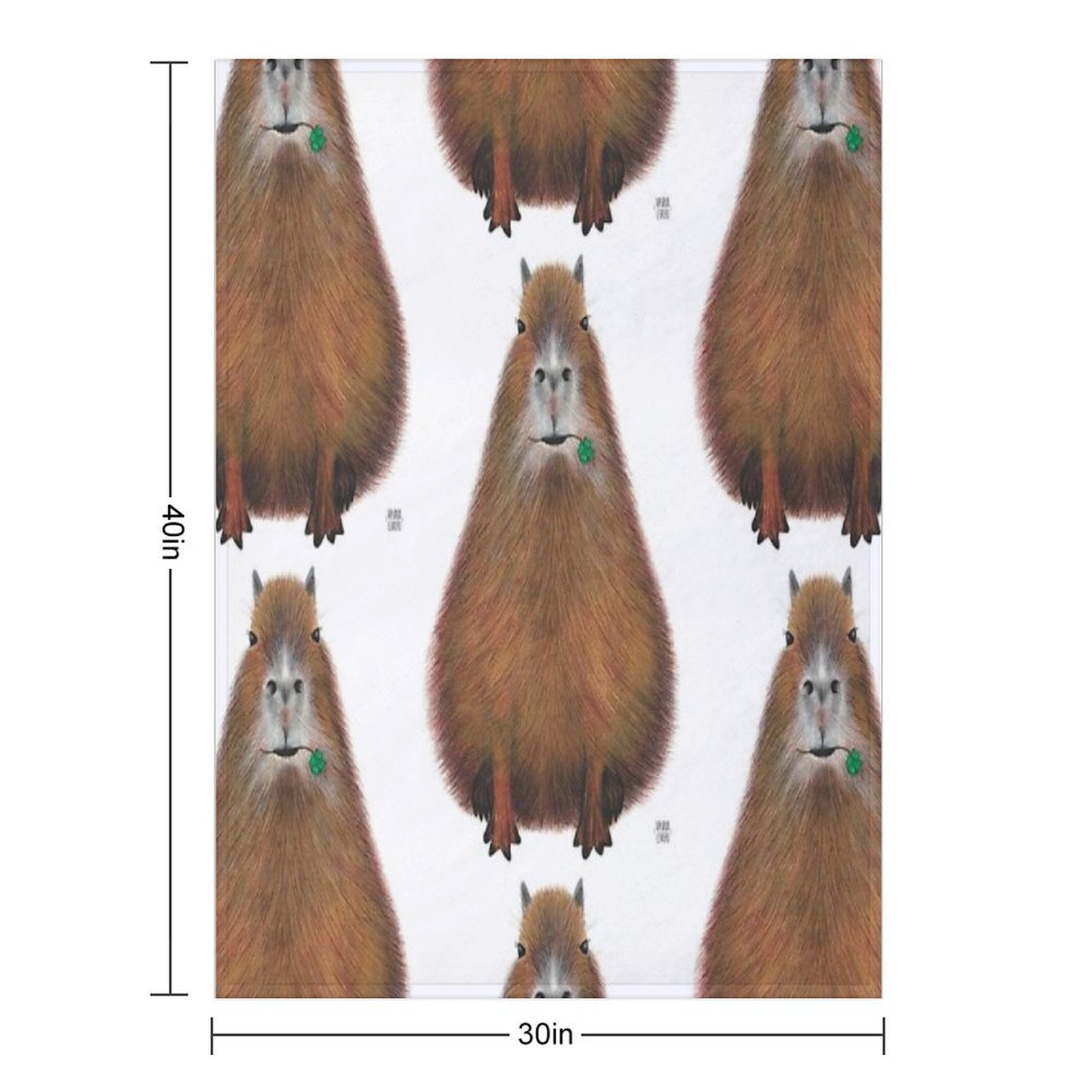 Capybara High Quality, Hand Made Illustration Comfort Throw Blanket