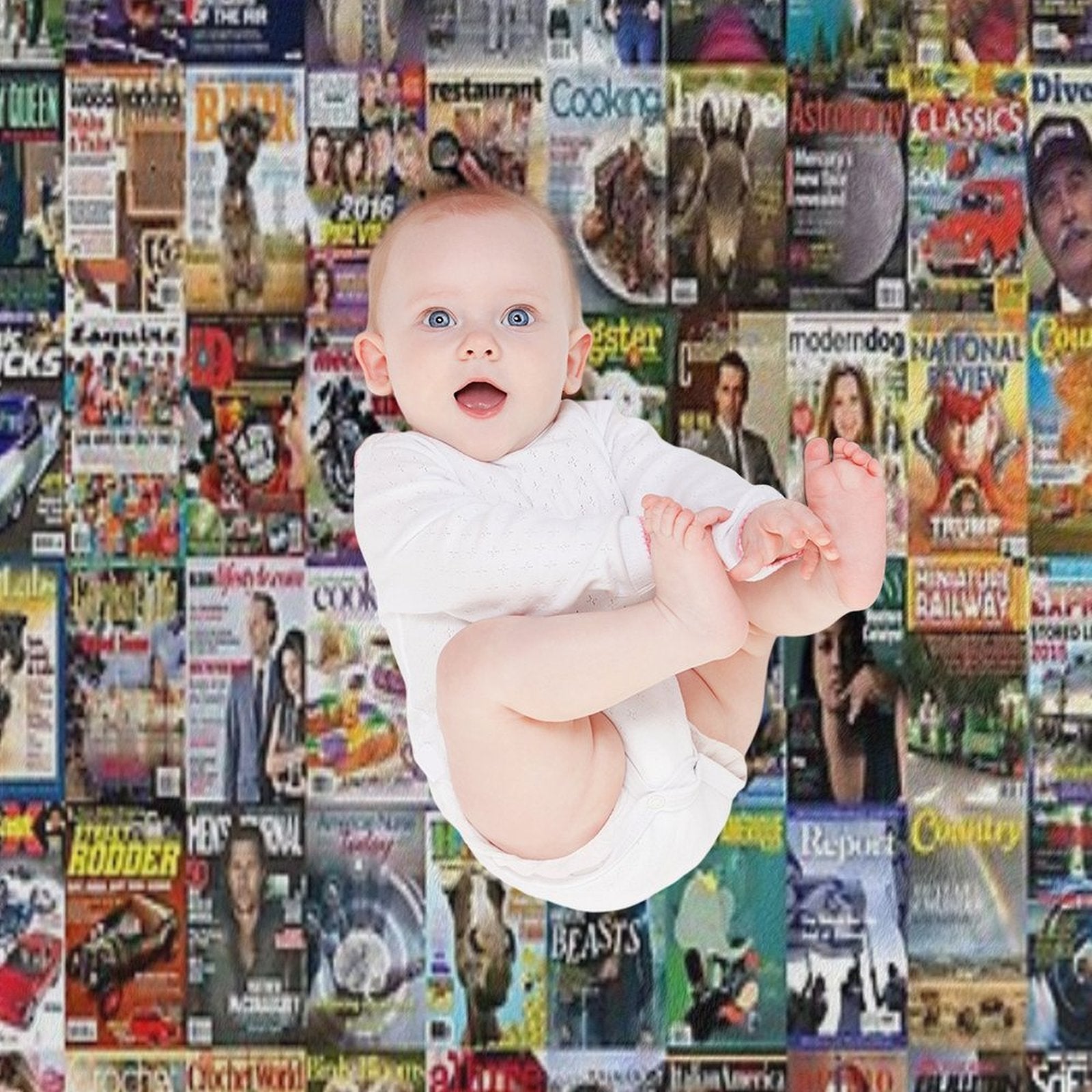 Magazines Eco-conscious Throw Blanket