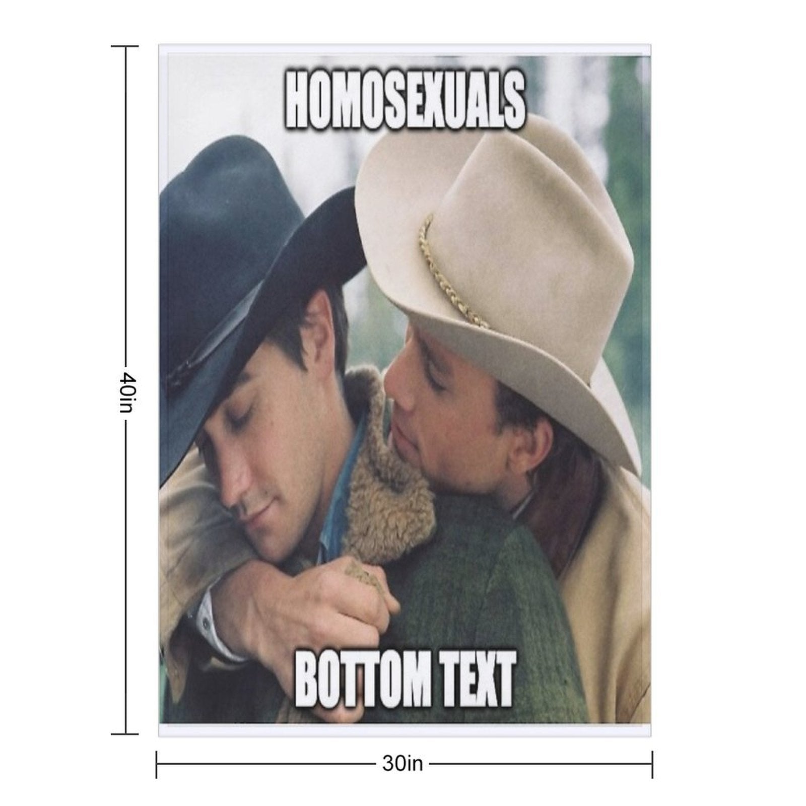 Brokeback Mountain Premium Throw Blanket