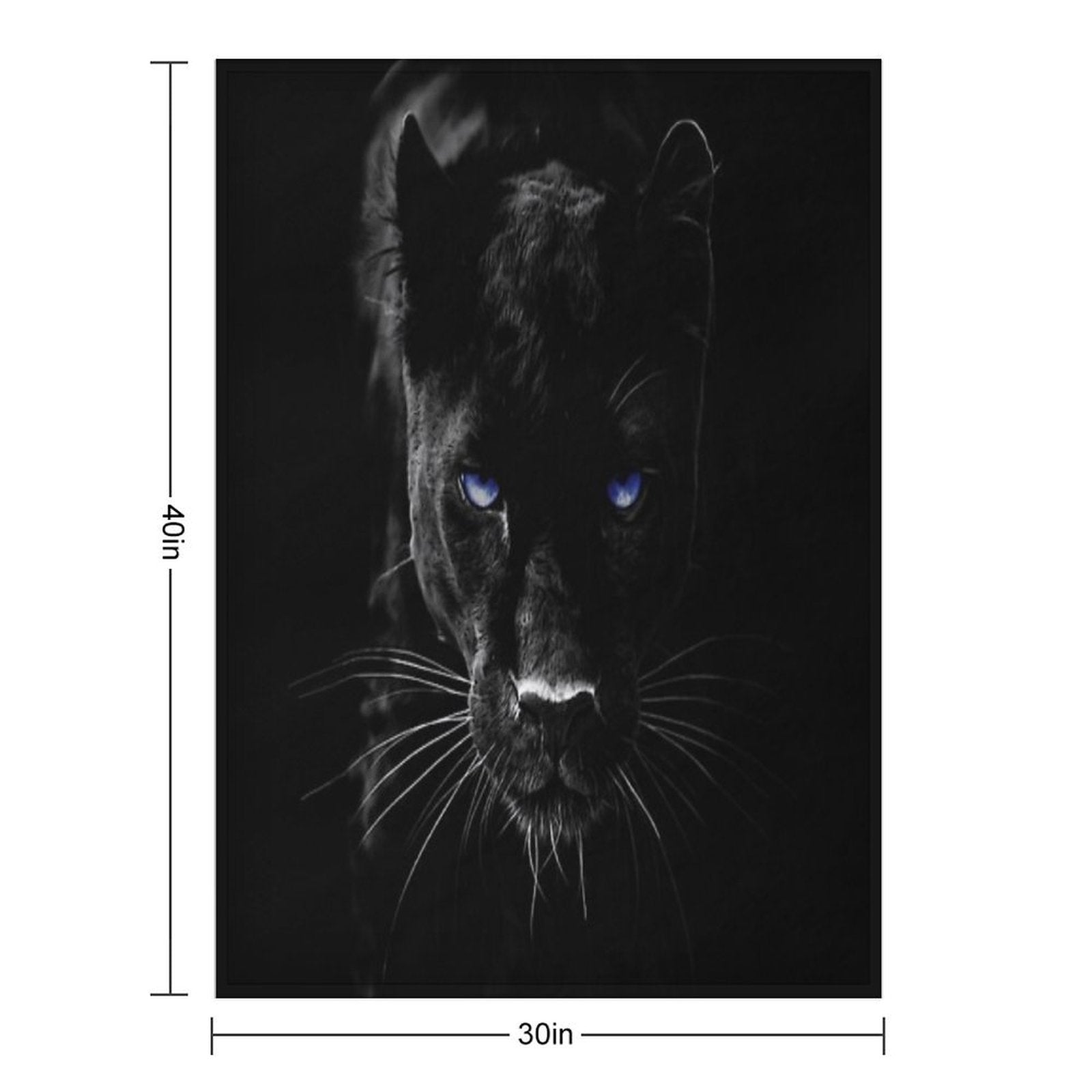 BLACK PANTHER Premium Throw Blanket
