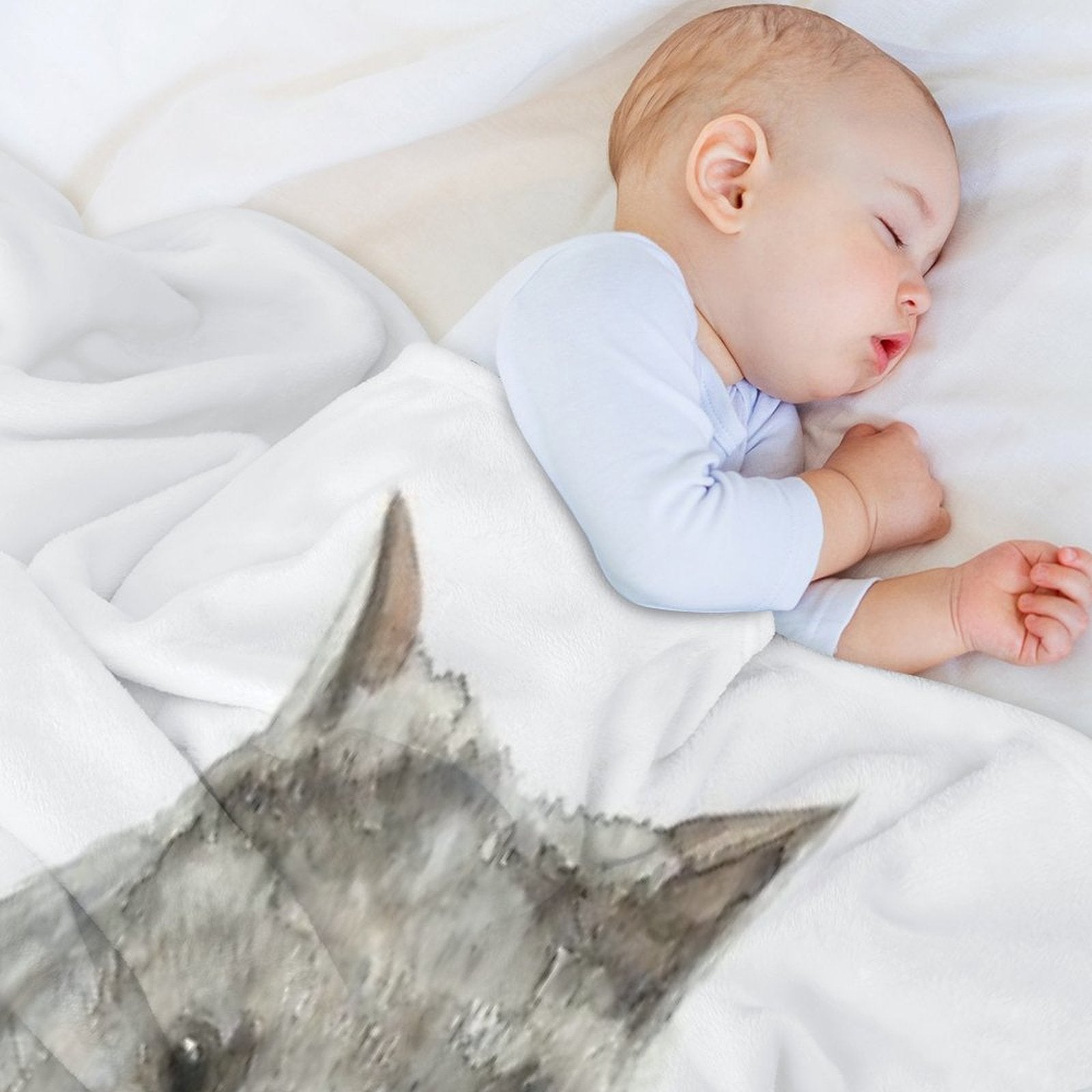 Common Wombat Versatility Throw Blanket