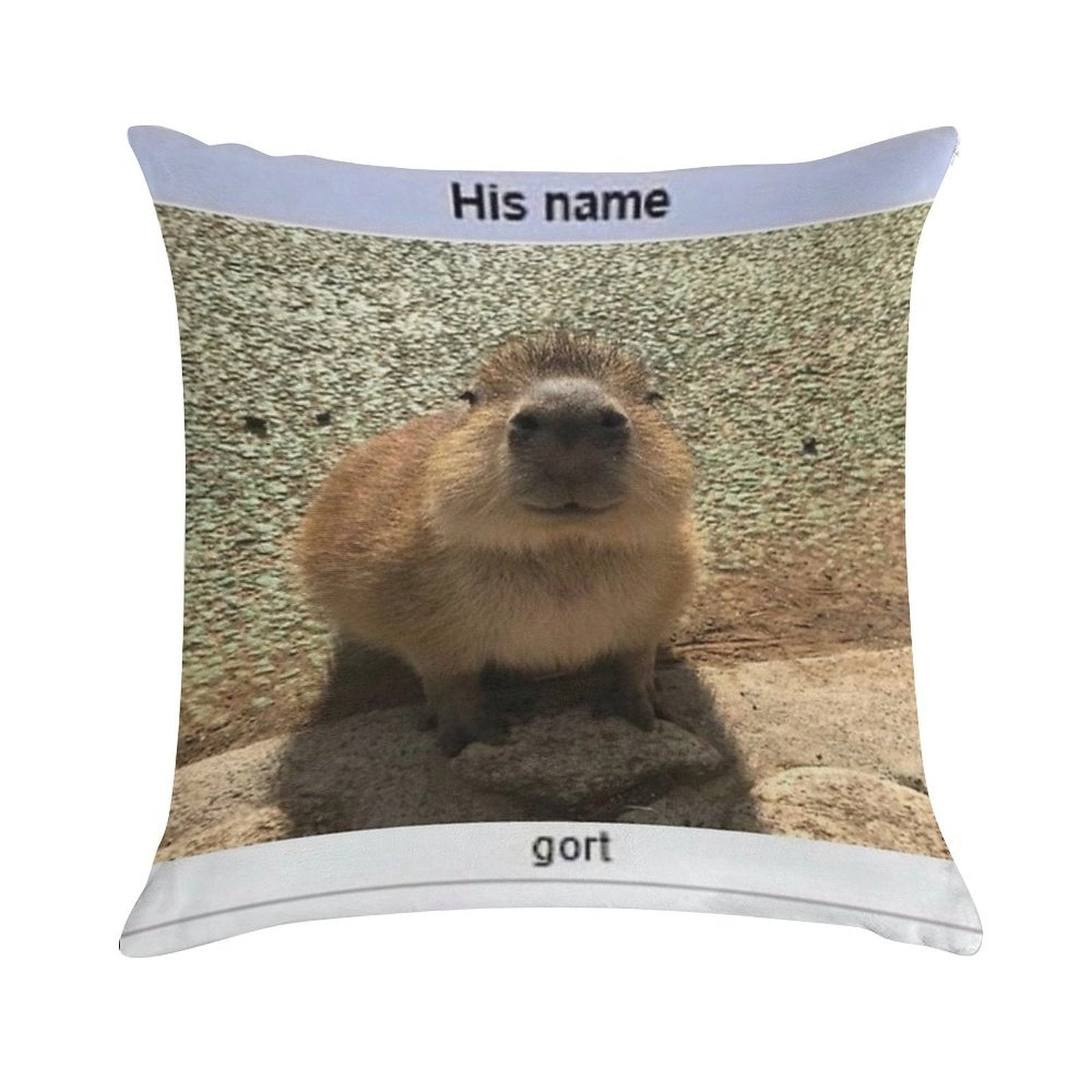 Gort Soft Ultra-Soft Texture Throw Pillow