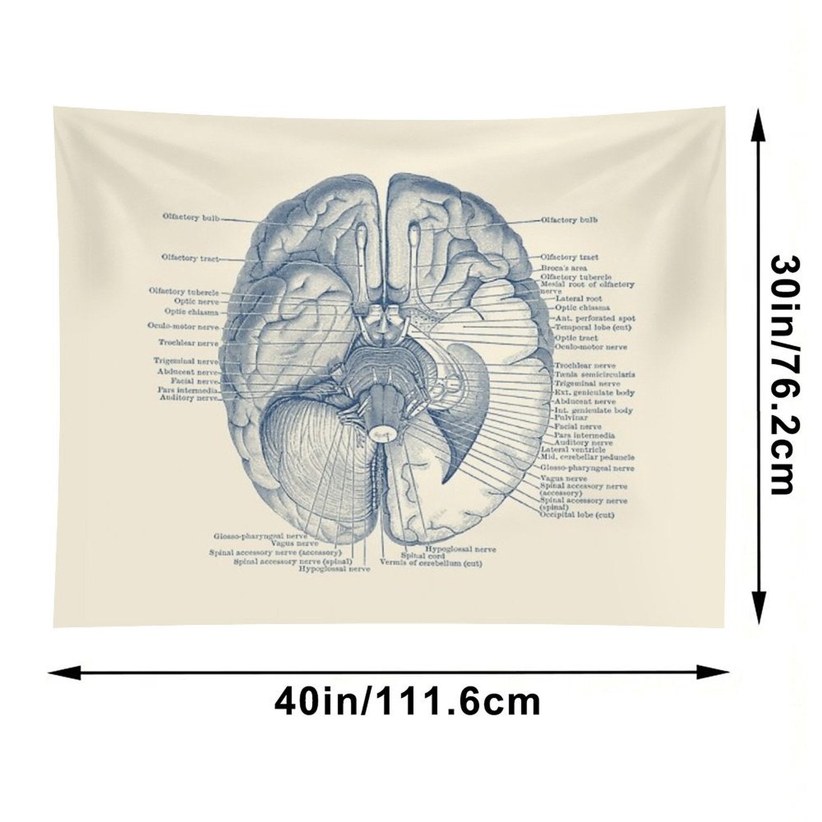 Brain Nervous System Diagram Tapestry