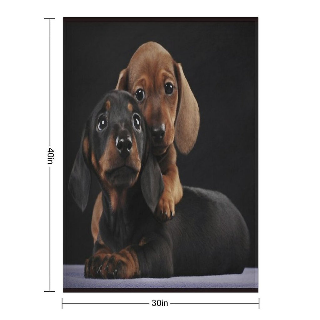 Dachshund Dog Portrait Photo Pupies Velvety-soft Throw Blanket