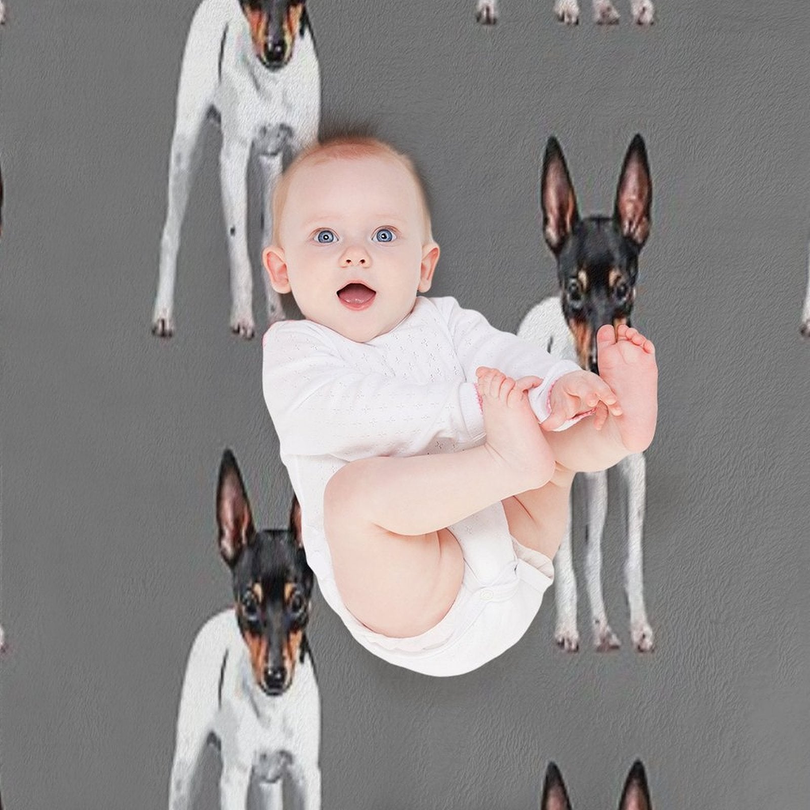 Toy Fox Terrier Versatility Throw Blanket