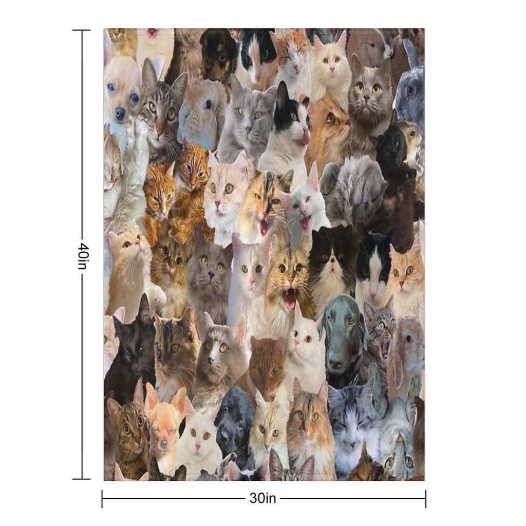 Cuteness Overload Wrinkle-free Throw Blanket