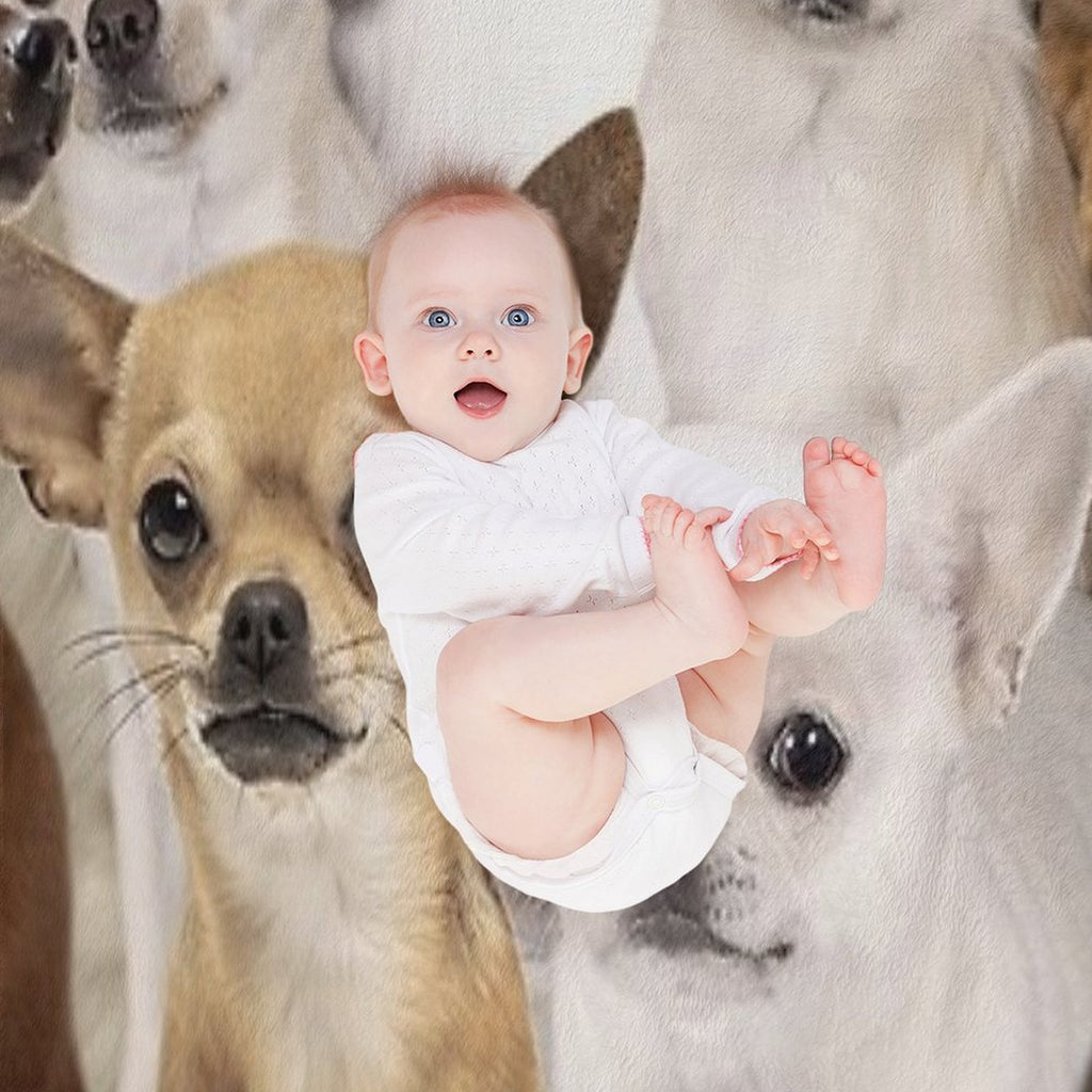 Chihuahuas Anti-pilling Throw Blanket
