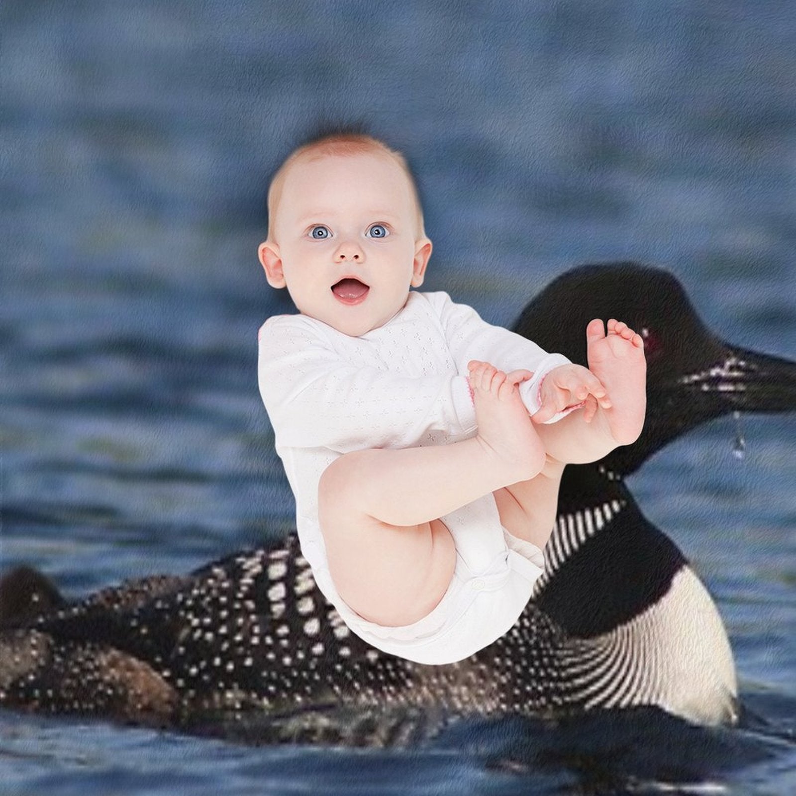 Common Loon Plush Throw Blanket