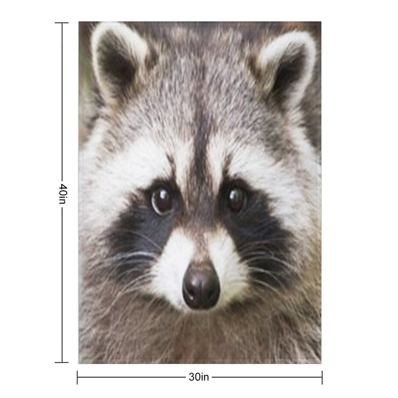 Raccoon Face Plush Throw Blanket