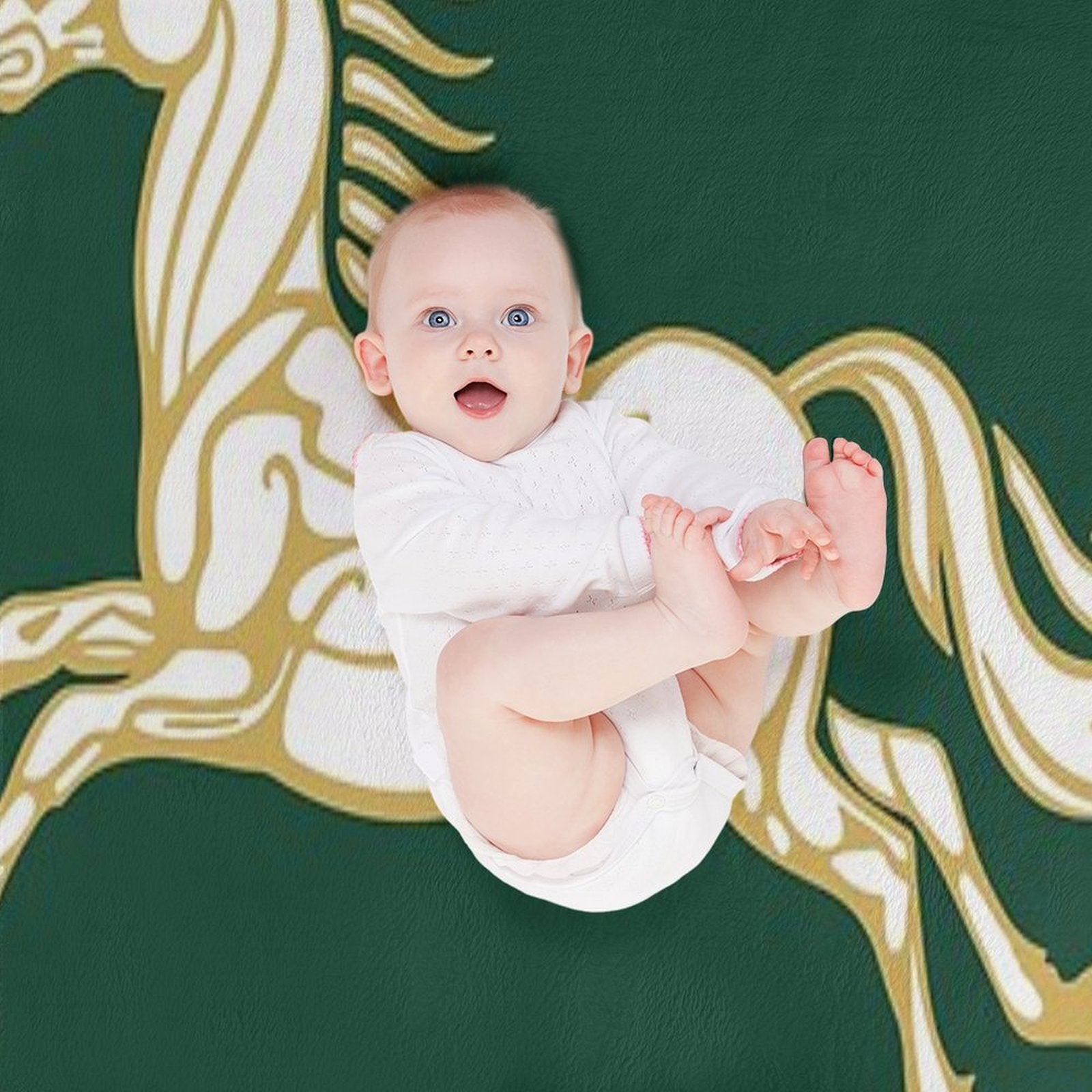 Banner of Rohan Gift-ready Throw Blanket