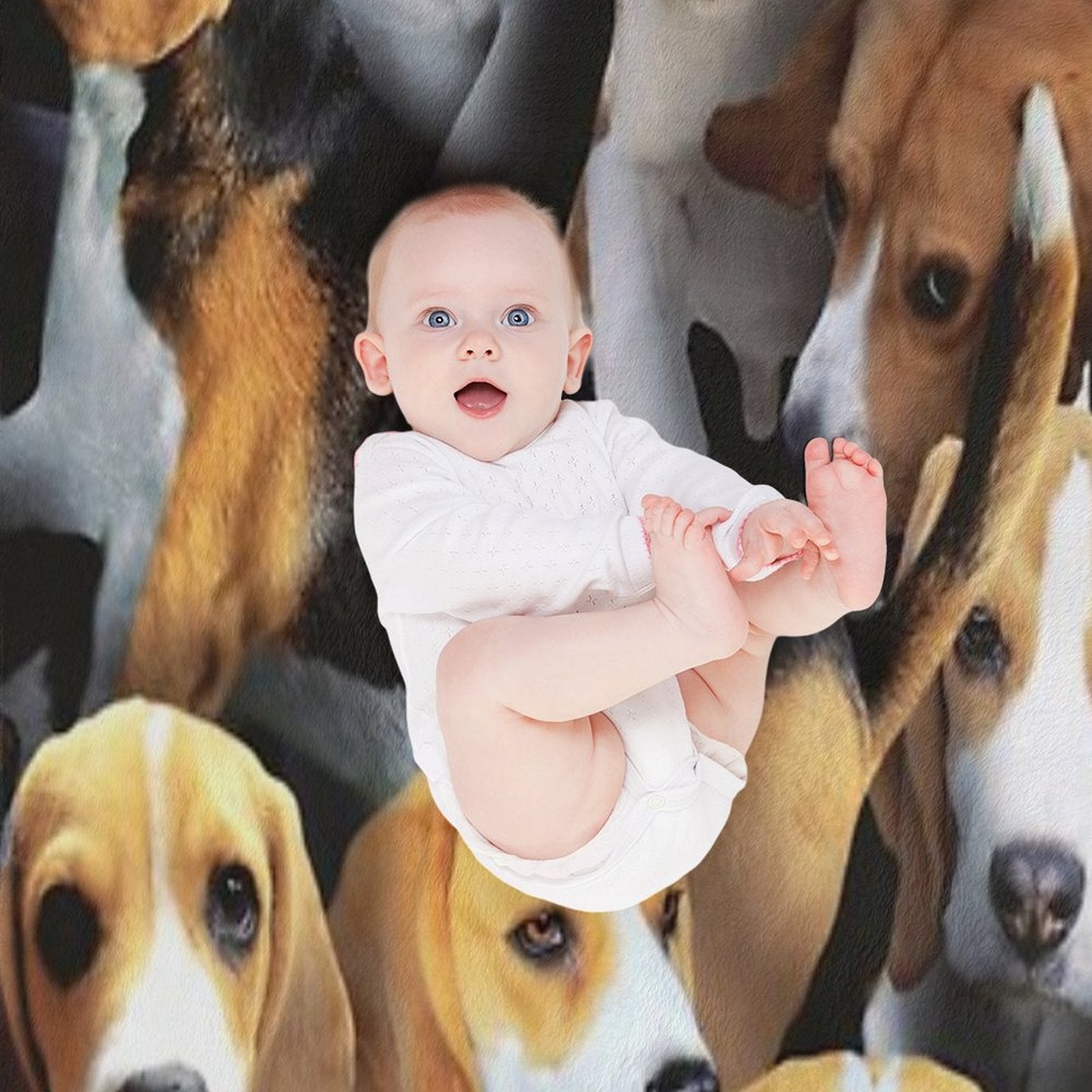Beagles All-season Throw Blanket